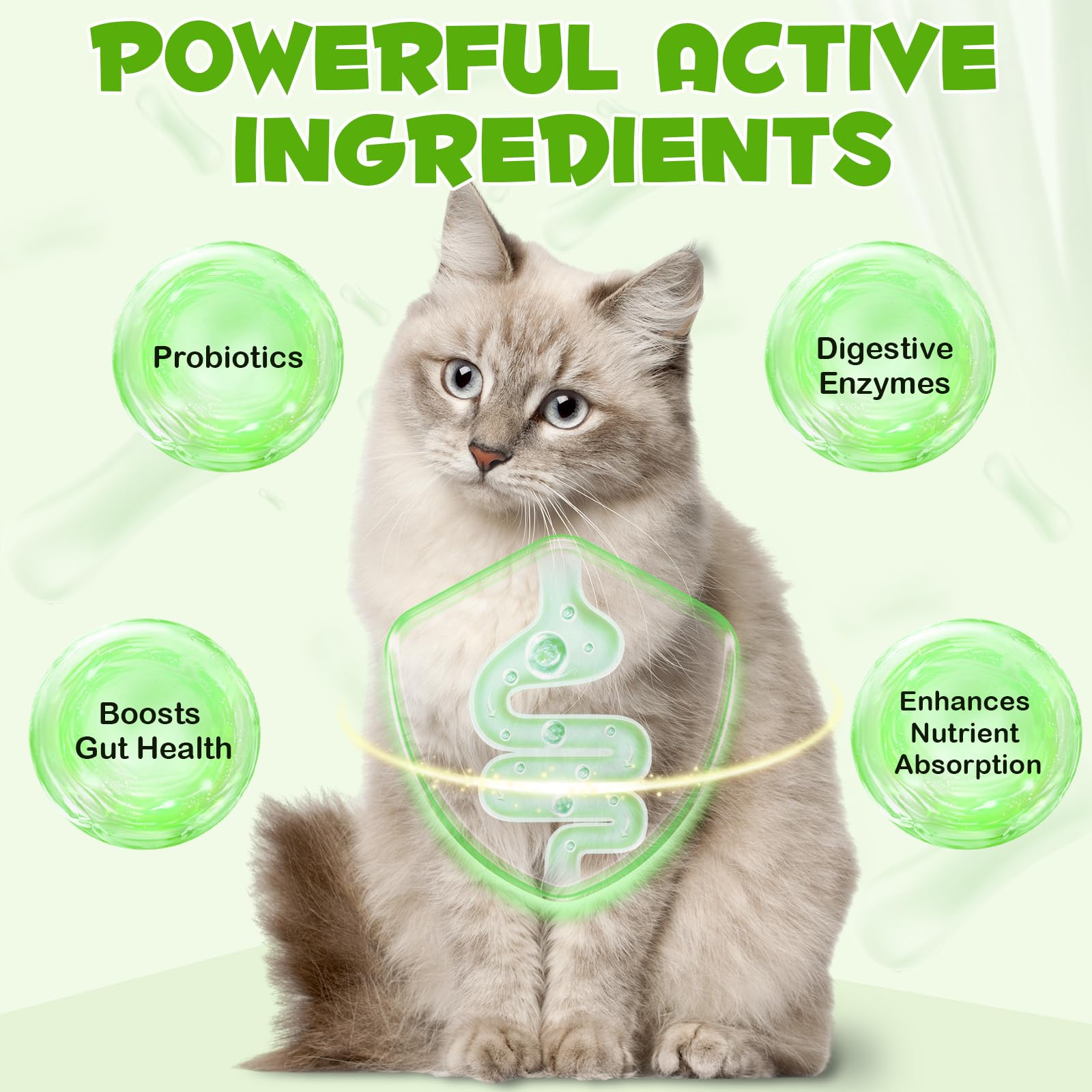 Liquid Cat Probiotic, Natural 3 in 1 Probiotic for Cats, Cat Digestive Support,Gut Health Support,Help with Diarrhea,Gas and Bloating, Cat Herbal Supplements- 60ml VOSIFSDIY Au supplements