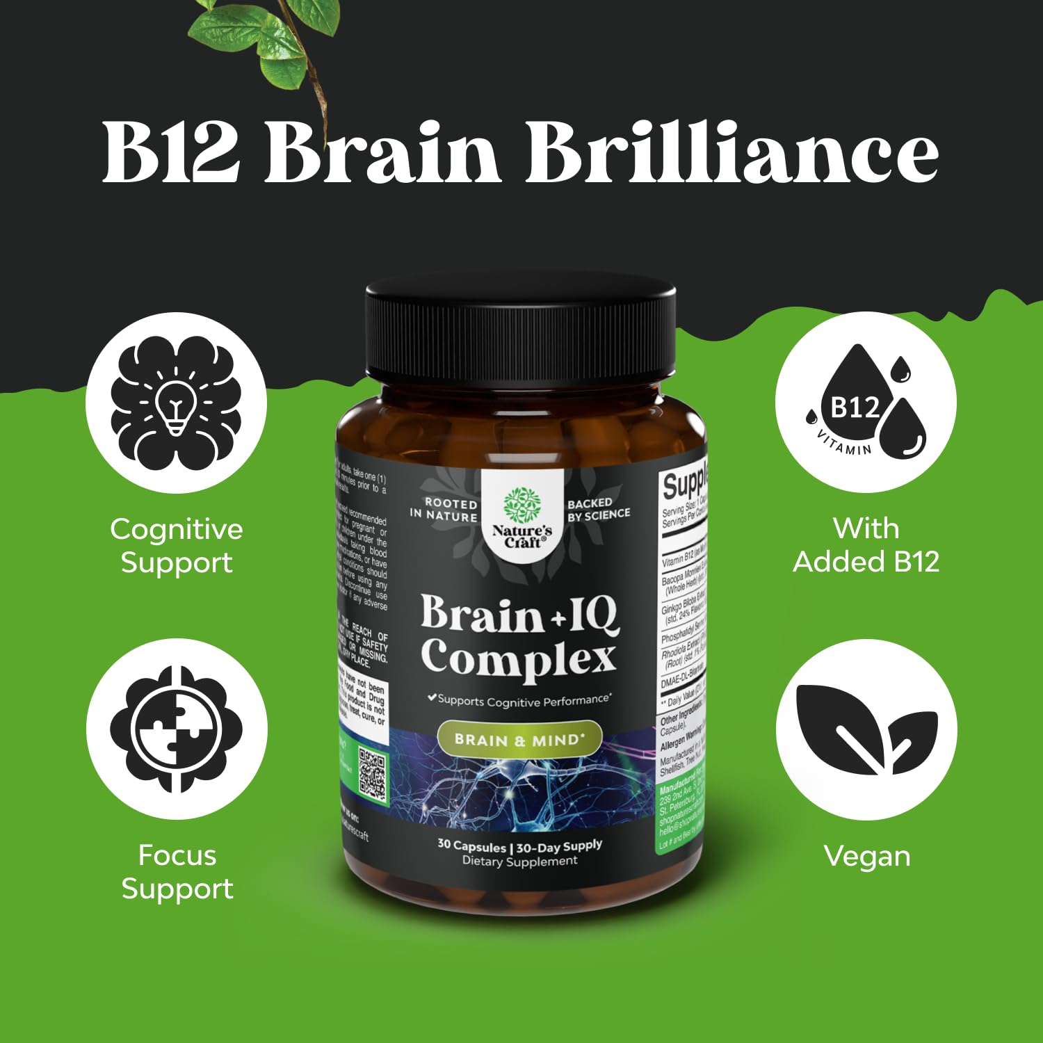 Nootropic Memory Supplement for Brain Support - Memory Pills for Brain Boost and Natural Energy Booster - Vitamin B 12 Bacopa Monnieri Rhodiola Rosea DMAE Ginkgo Biloba Phosphatidylserine Supplement Natures Craft Au supplements