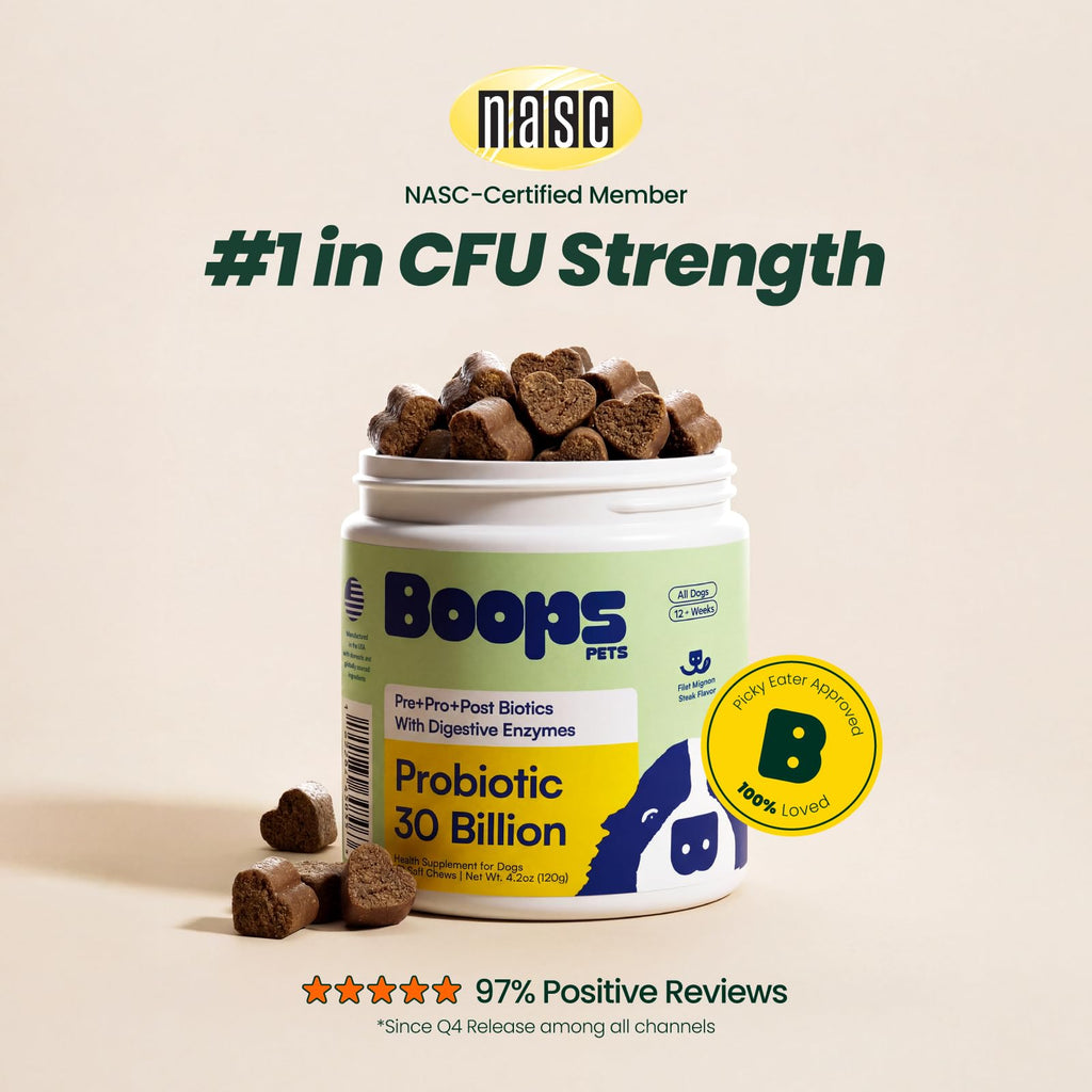 Boops Pets Probiotics for Dogs – 30 Billion CFU with Pre, Postbiotics & Digestive Enzymes – Supports Gut Health, Immunity, Loose Stools & Allergies – Filet Mignon Flavor – Vet Formulated – 60 Chews Boops Pets Au supplements