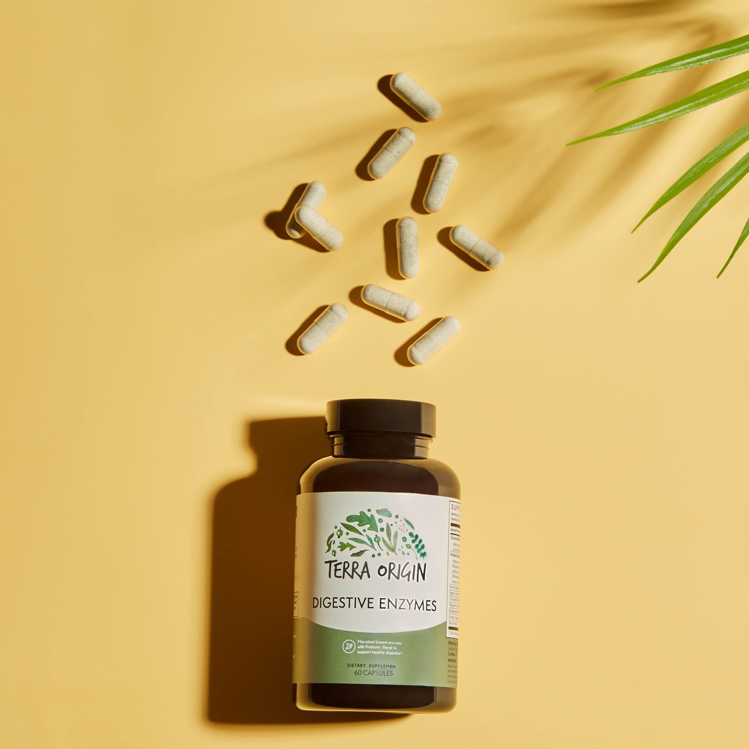 TERRA ORIGIN Digestive Enzymes with Probiotics & Prebiotics | 60 Capsules | Supports Digestive Gut Health | Non GMO, Gluten Free,