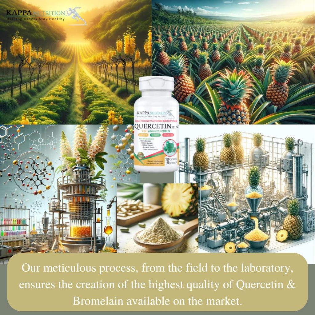 QUERCETIN PLUS, Quercetin 1,000mg, Bromelain 500mg and Vitamin C 1,000mg, (120 Capsules), 3 in 1 from Bioflavonoids, Supports Immune, Cardiovascular & Respiratory Health, Seasonal Allergy Relief. KAPPA NUTRITION Au supplements