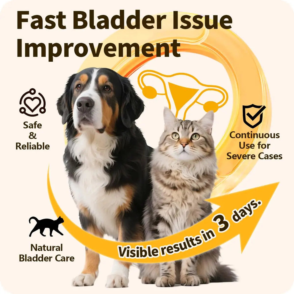 Cassiel Pet Bladder Supports Chews for Urinary Tract Health, Infection Treatments, Bladder Health, Dog UTI, Bladder Stones, Incontinence Support, Urinary Pain Relief for Cat & Dog 10 Chews (1 Bottle) Cassiel pet Au supplements
