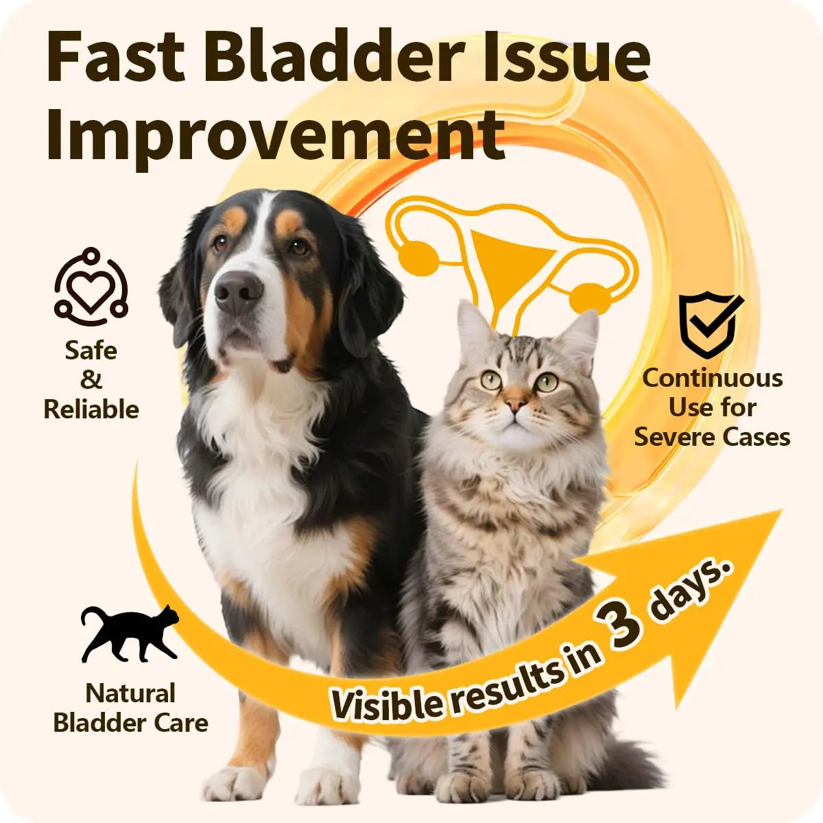 Cassiel Pet Bladder Supports Chews for Urinary Tract Health, Infection Treatments, Bladder Health, Dog UTI, Bladder Stones, Incontinence Support, Urinary Pain Relief for Cat & Dog 10 Chews (1 Bottle) Cassiel pet Au supplements