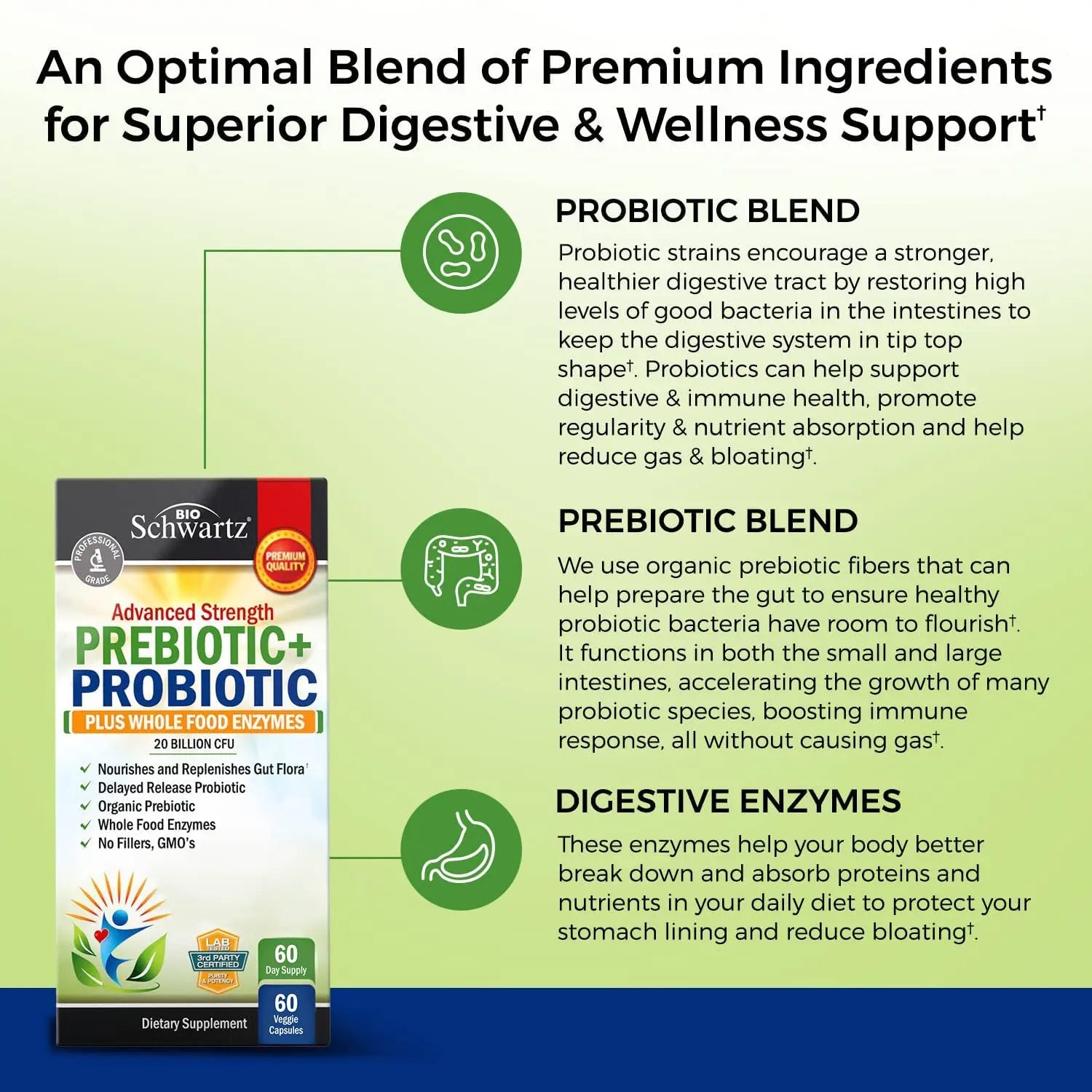 Prebiotics and Probiotic with Whole Food Enzymes for Adults Women & Men BioSchwartz Au supplements