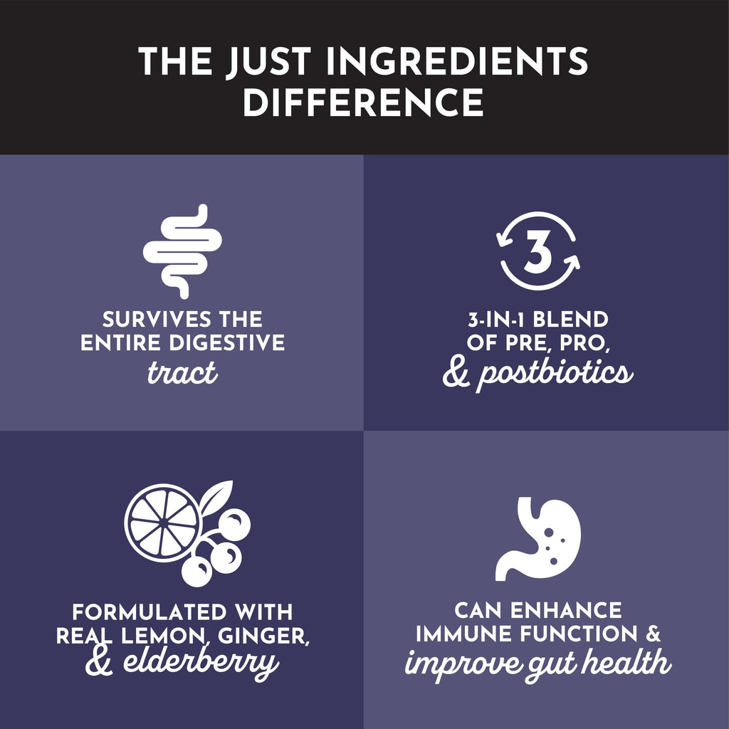 JUST INGREDIENTS Elderberry Lemonade 3-in-1 Probiotic Complex - Prebiotics, Probiotics & Postbiotics - 30 Sticks JUST INGREDIENTS Au supplements
