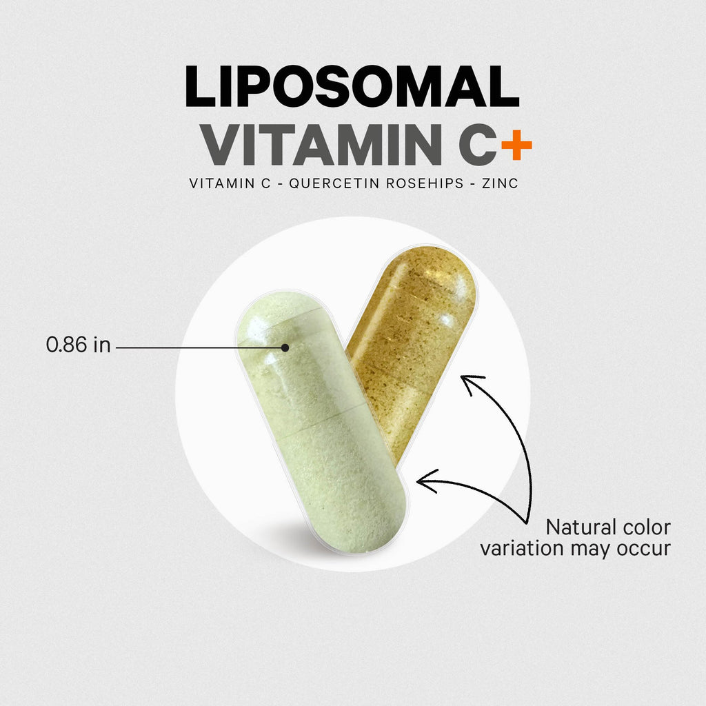 Codeage Liposomal Vitamin C 1500mg with Zinc, Elderberry, Citrus Bioflavonoids Grapefruit, Lemon, Orange Powder, Quercetin & Rose Hips Fruit – Vegan Supplement - Non-GMO, Vegan Pills, 180 Capsules Codeage Au supplements