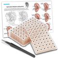 Ear Seeds Auricular Sticker kit,Acupuncture Kit Acupressure with Ears Seed 420 Pcs, Ear Chart, Tweezer Hedigon Au supplements