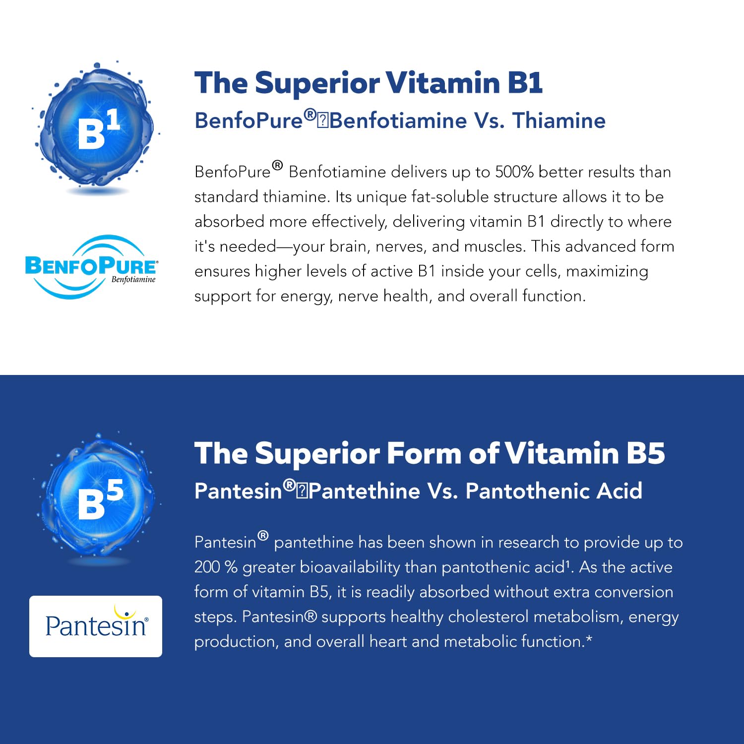 BioActive Vitamin B Complex - Blood Stream Ready, Methylated B Complex - Featuring Methylfolate, 3 BioActive Forms of B12, BenfoPure® B1 & Pantesin