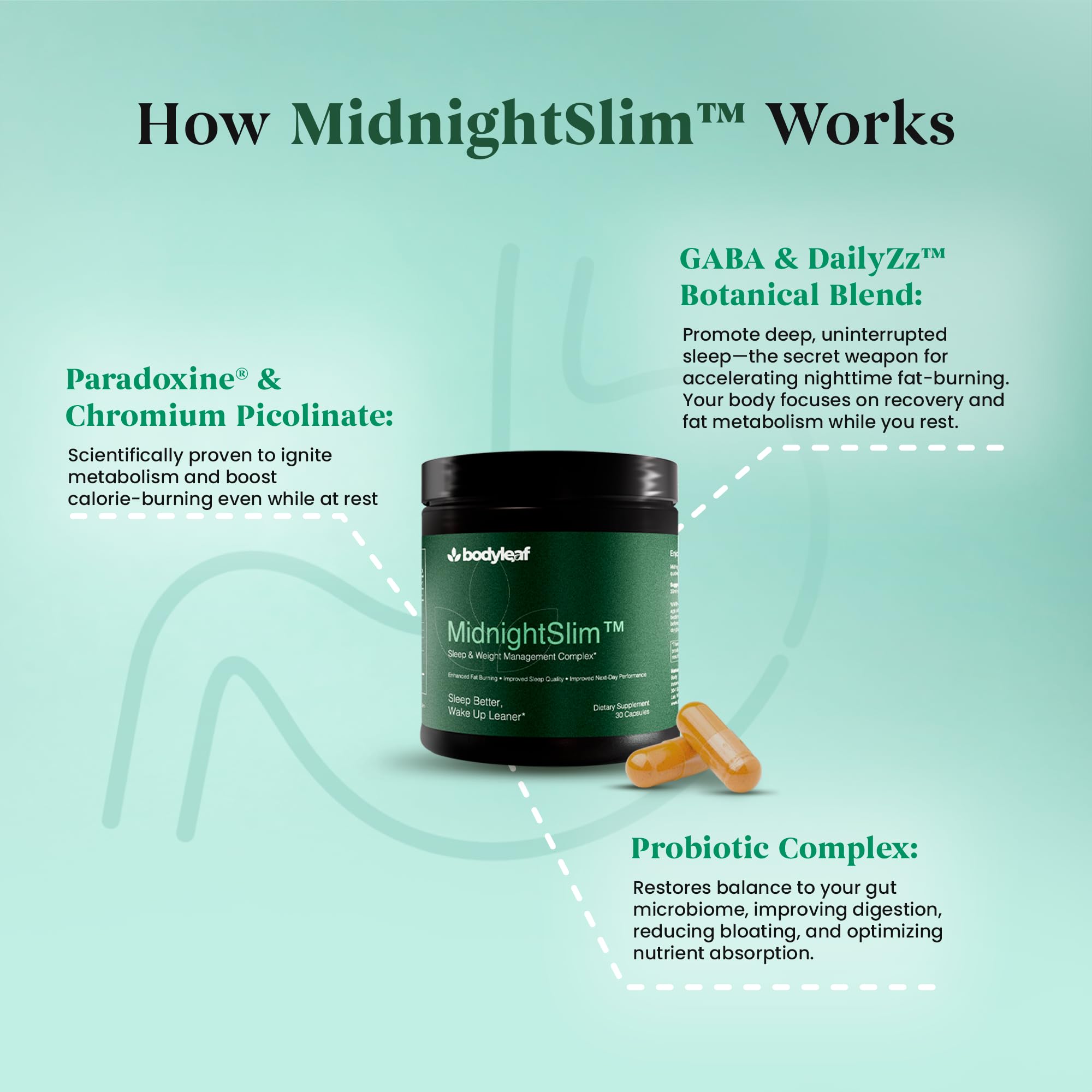MidnightSlim™ | Advanced Nighttime Weight  | Maximum Strength Metabolism Support, Digestive Health, Peaceful Sleep | Premium Probiotic Complex | 30 Capsules