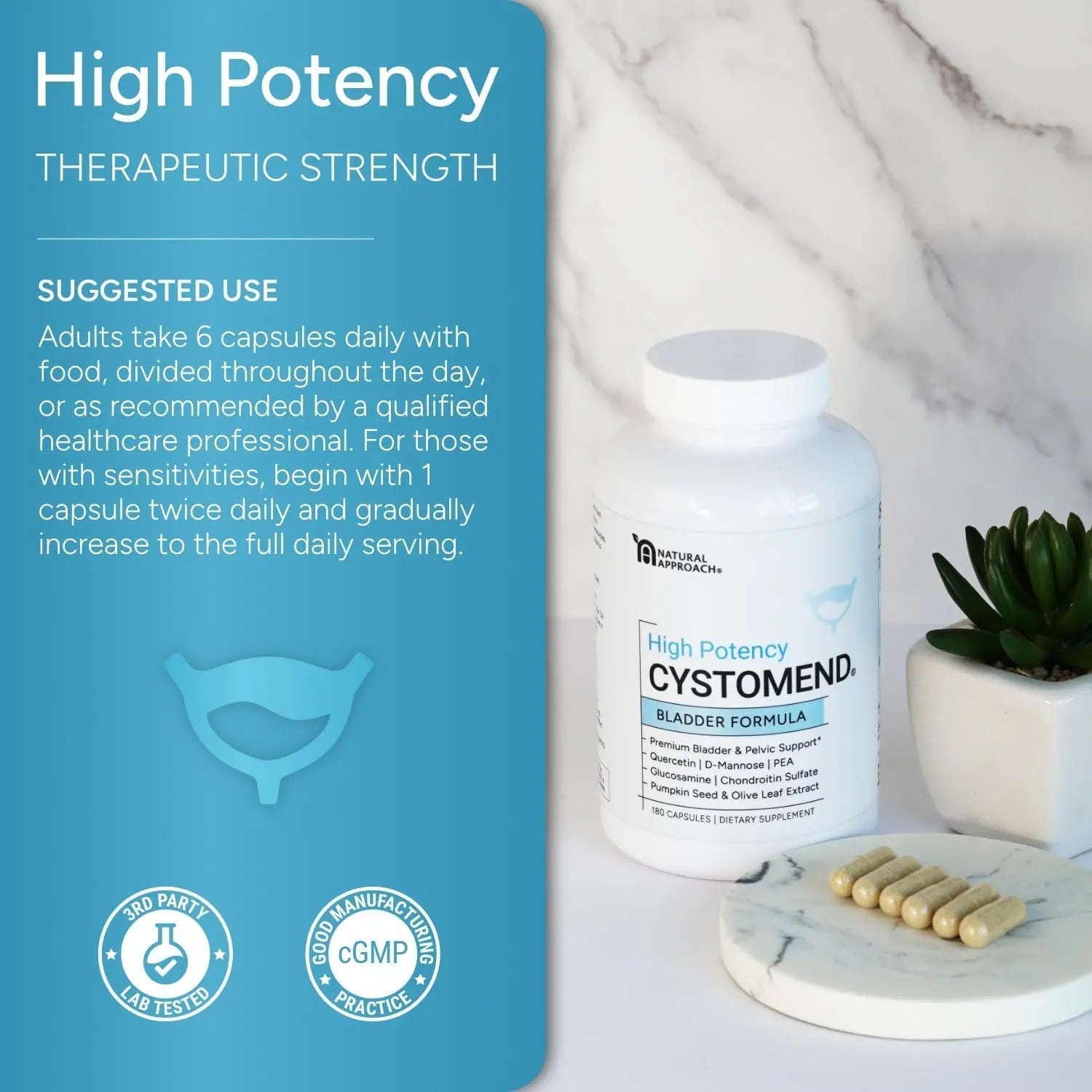 CystoMend Bladder & Pelvic Discomfort Formula (High Potency) - Supports Less Flares & Urgency* - Premium Bladder Support for Women & Men - USA Manufactured & Third-Party Tested - 180 Capsules CystoMend Au supplements