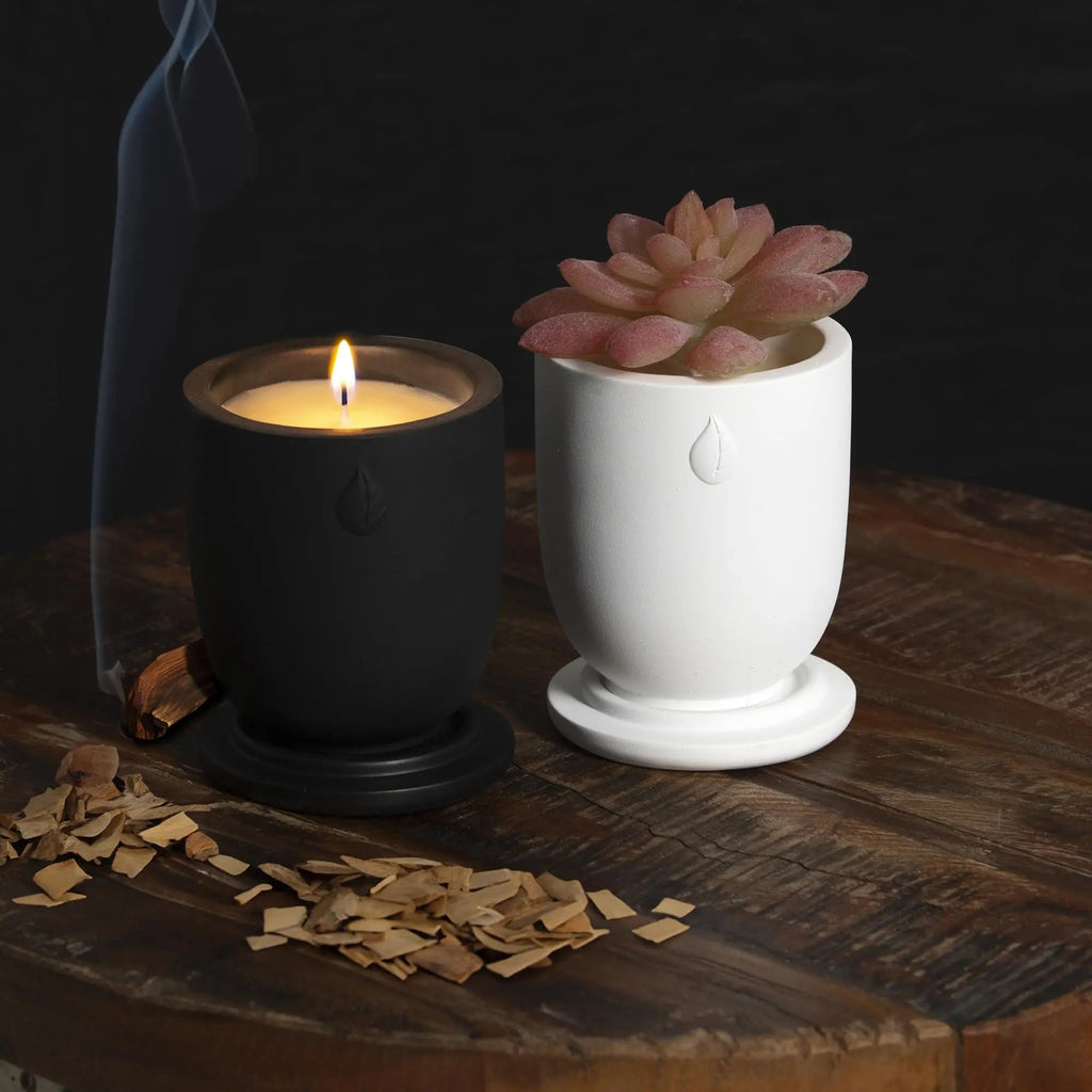 CandlePlanter Concrete Cement Candle Planter - Candles for Home Scented, Soy Candles CANDLEPLANTER Au supplements