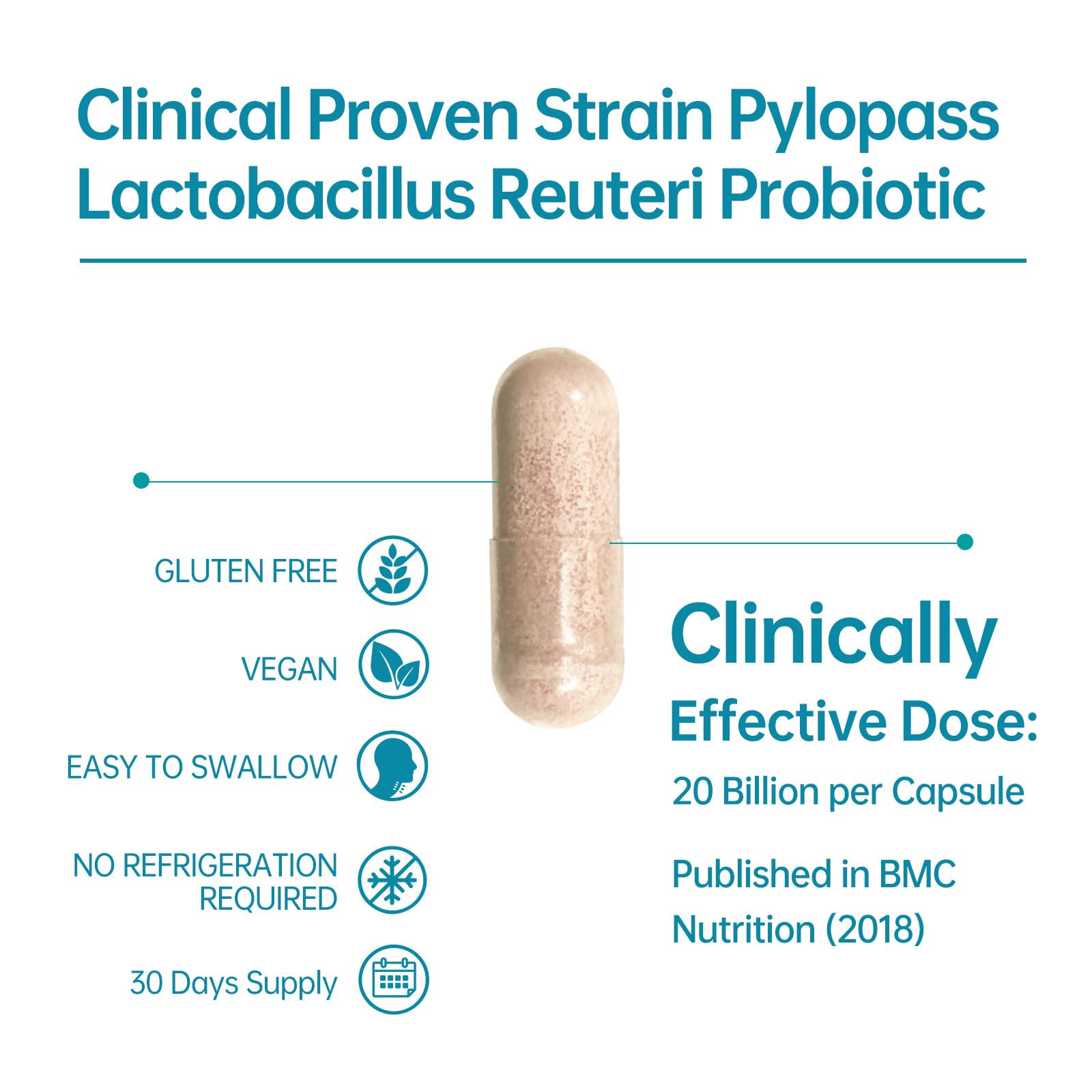 5-in-1 High Potency H. Pylori Probiotic, 1 Per Day - Supports Gastric Lining Integrity, Occasional Indigestion, Acid Comfort - Pylopass Lactobacillus Reuteri, Gluten Free, Vegan, 30ct, Made in Germany purmeo Au supplements