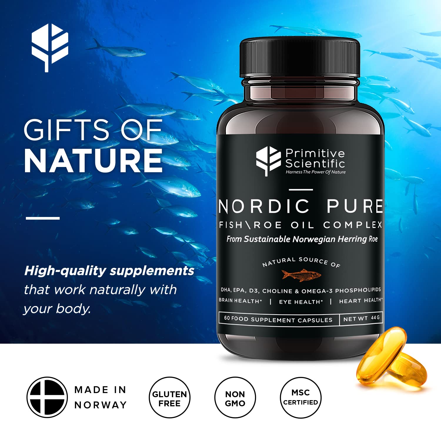 Primitive Scientific Nordic Pure Oil Complex (60 Fish Oil Capsules) for Brain, Immunity & Vision - Heart Supplement w/EPA, DHA, Vitamin D3, Choline - Omega 3 Supplements Primitive Scientific Au supplements