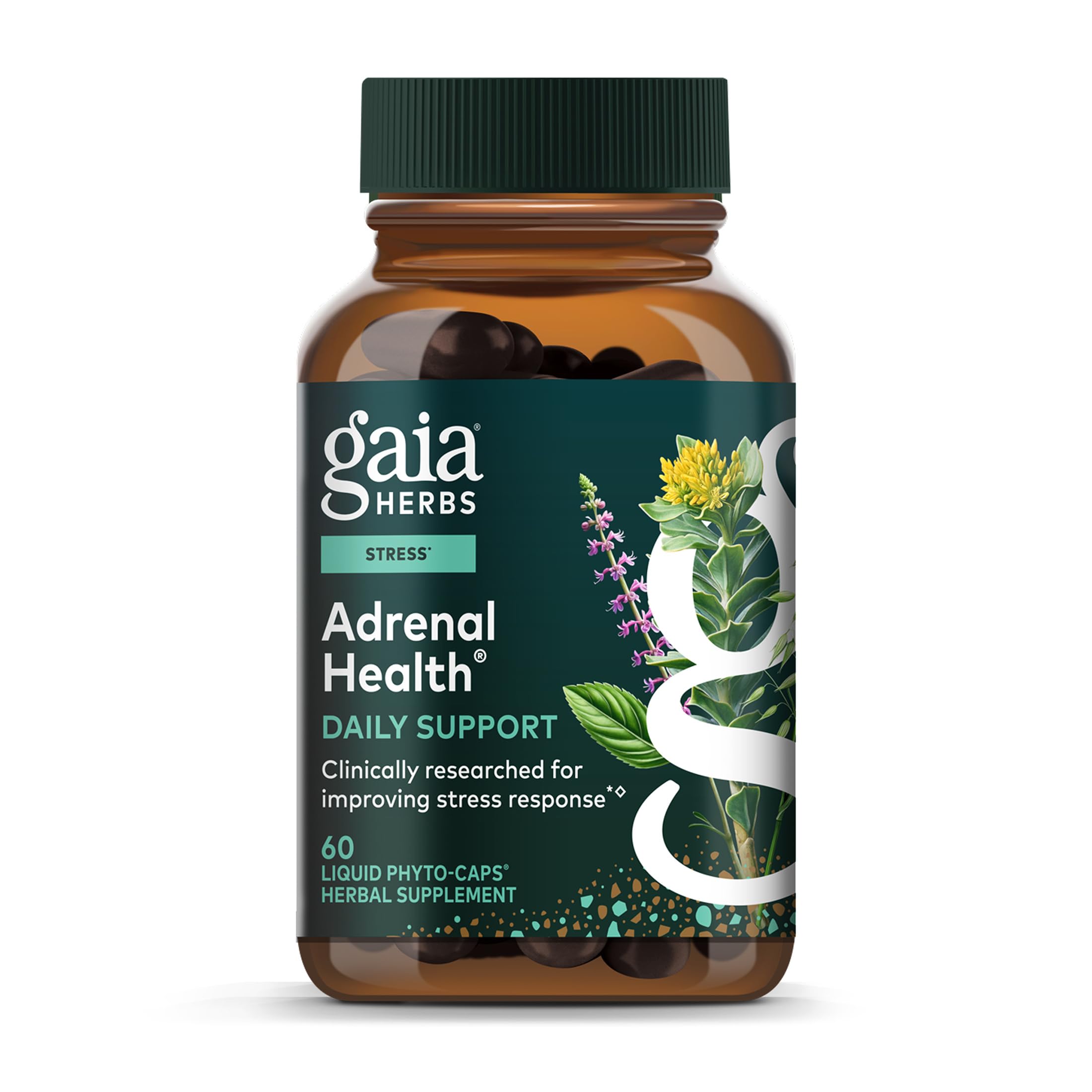 Gaia Herbs Adrenal Health Daily Support - Herbal Supplement with Ashwagandha, Holy Basil & Schisandra - Help Maintain Healthy Energy & Stress Levels* - 60 Vegan Liquid Phyto-Caps (30 Servings) Gaia Herbs Au supplements