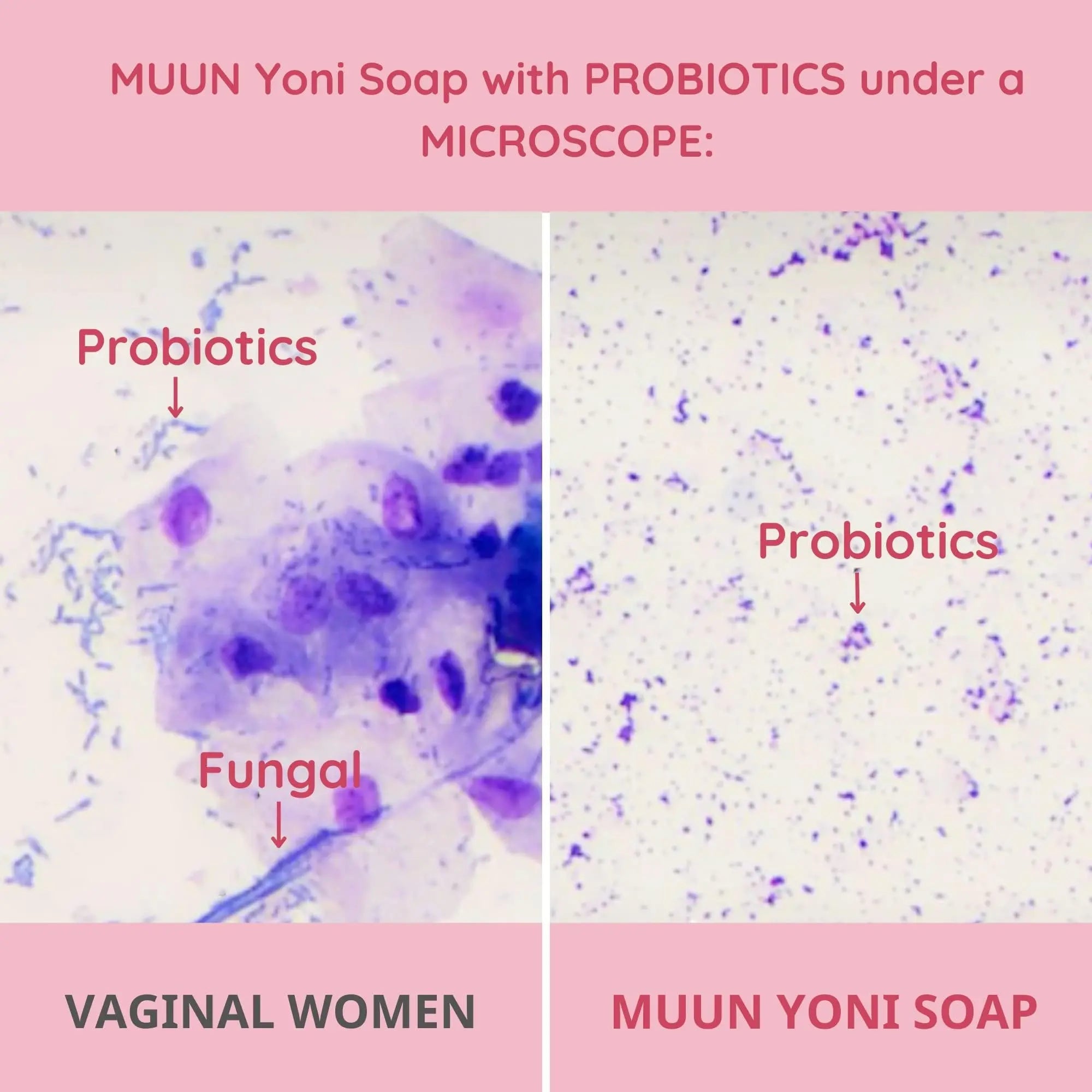 Muun Yoni Soap Bar - Pack 3 Ph Balance Probiotics & Natural Ingredients - Gentle Cleansing Formula Muun Au supplements