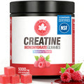 GABE SUNNYBEARS Creatine Gummies, NSF Certified, 5g Creatine Monohydrate per Serving with Taurine & B12, Raspberry Flavor, 160 Count, for Men & Women GABE SUNNYBEARS Au supplements