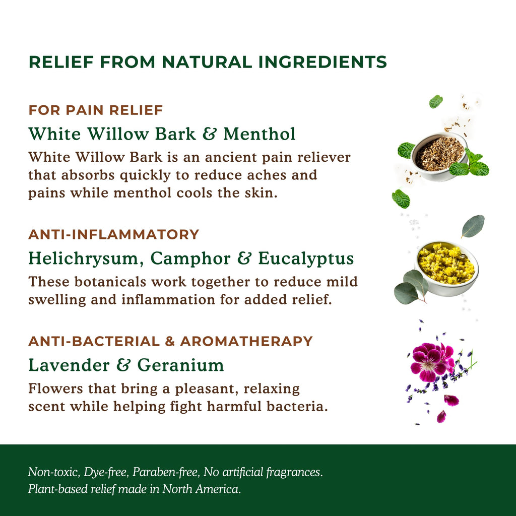 Nature's Willow Willow Balm Natural Pain Relief Cream for Muscles & Joints | Fast-Acting with Willow Bark & Menthol | Free from Artificial Fragrances & Dyes | 6-Pack | 3.5 fl oz Nature's Willow Au supplements