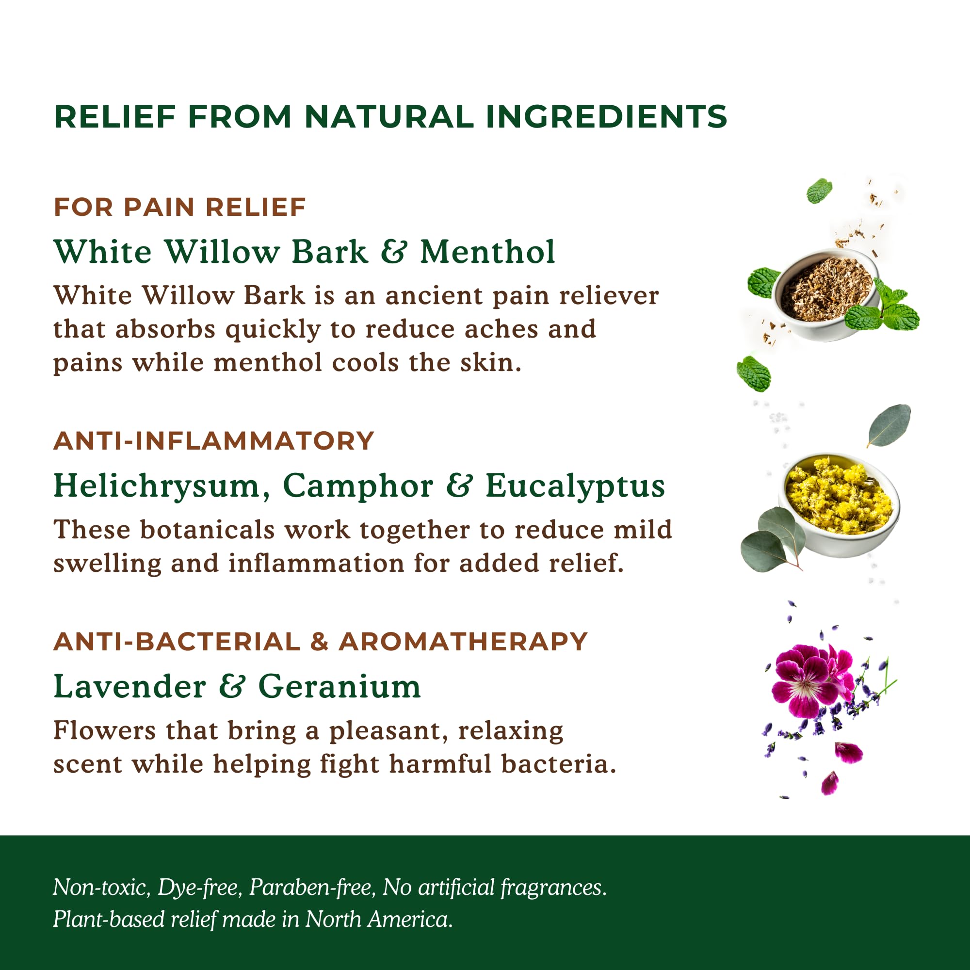 Nature's Willow Willow Balm Natural Pain Relief Cream for Muscles & Joints | Fast-Acting with Willow Bark & Menthol | Free from Artificial Fragrances & Dyes | 6-Pack | 3.5 fl oz Nature's Willow Au supplements