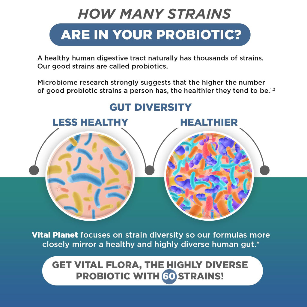 Vital Planet - Vital Flora Ultra Daily Probiotic 60 Billion CFU, Diverse Strains, Organic Prebiotics, Immune Support, Bloating Relief, Digestive Health Probiotics for Women and Men 60 Capsules Vital Planet Au supplements