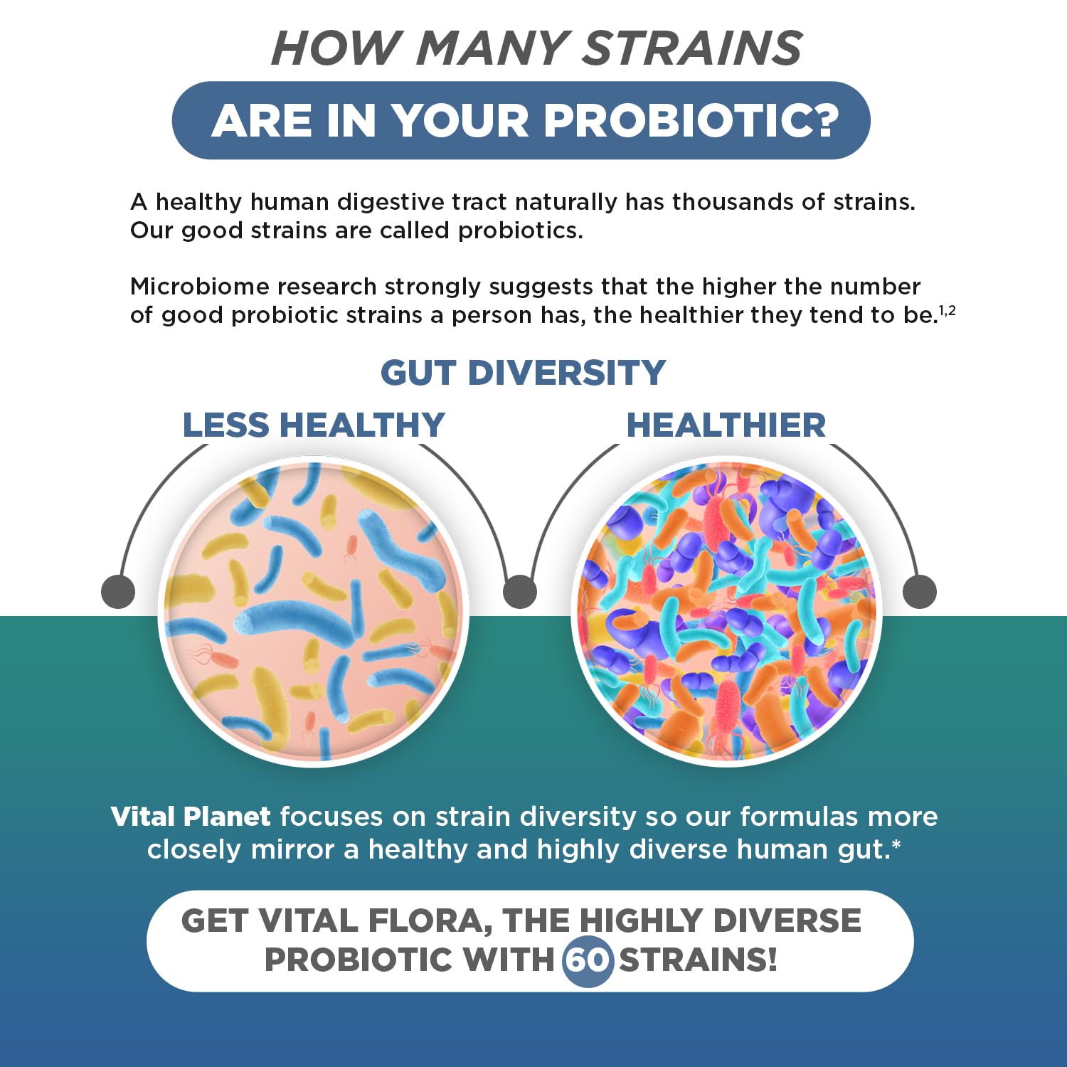 Vital Planet - Vital Flora Ultra Daily Probiotic 60 Billion CFU, Diverse Strains, Organic Prebiotics, Immune Support, Bloating Relief, Digestive Health Probiotics for Women and Men 60 Capsules Vital Planet Au supplements