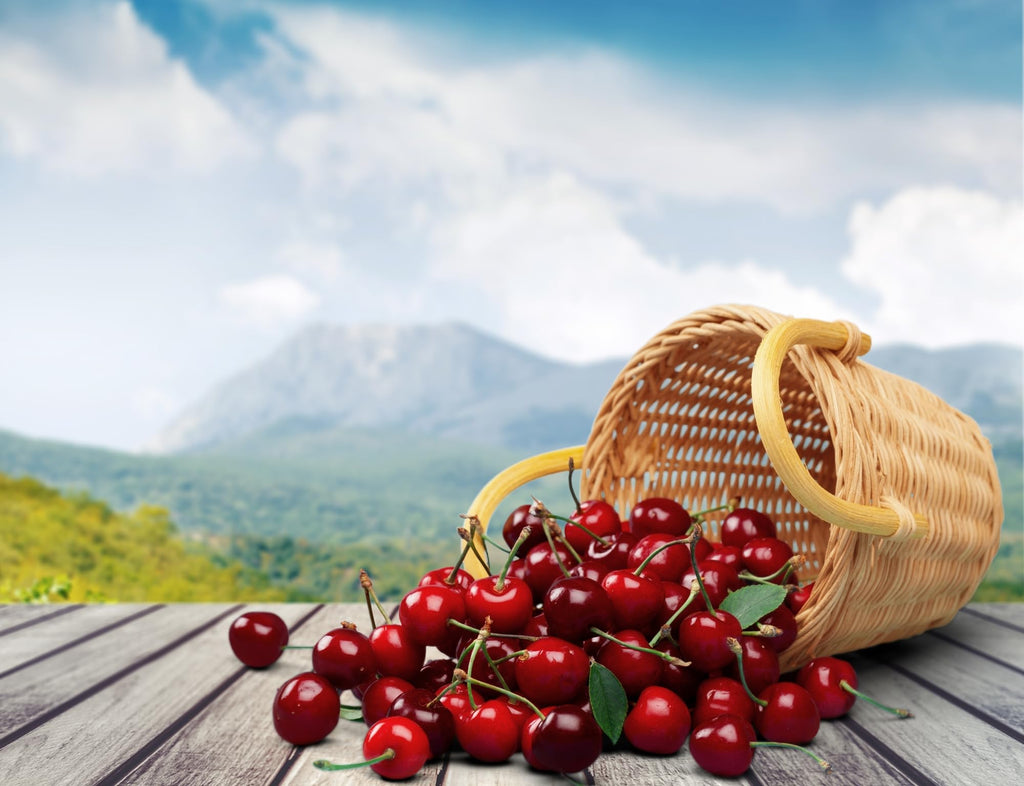 Gout and You Tart Cherry Extract | 3000 mg Per Serving | 90 Vegetarian Capsules | Gluten-Free Gout and You Au supplements