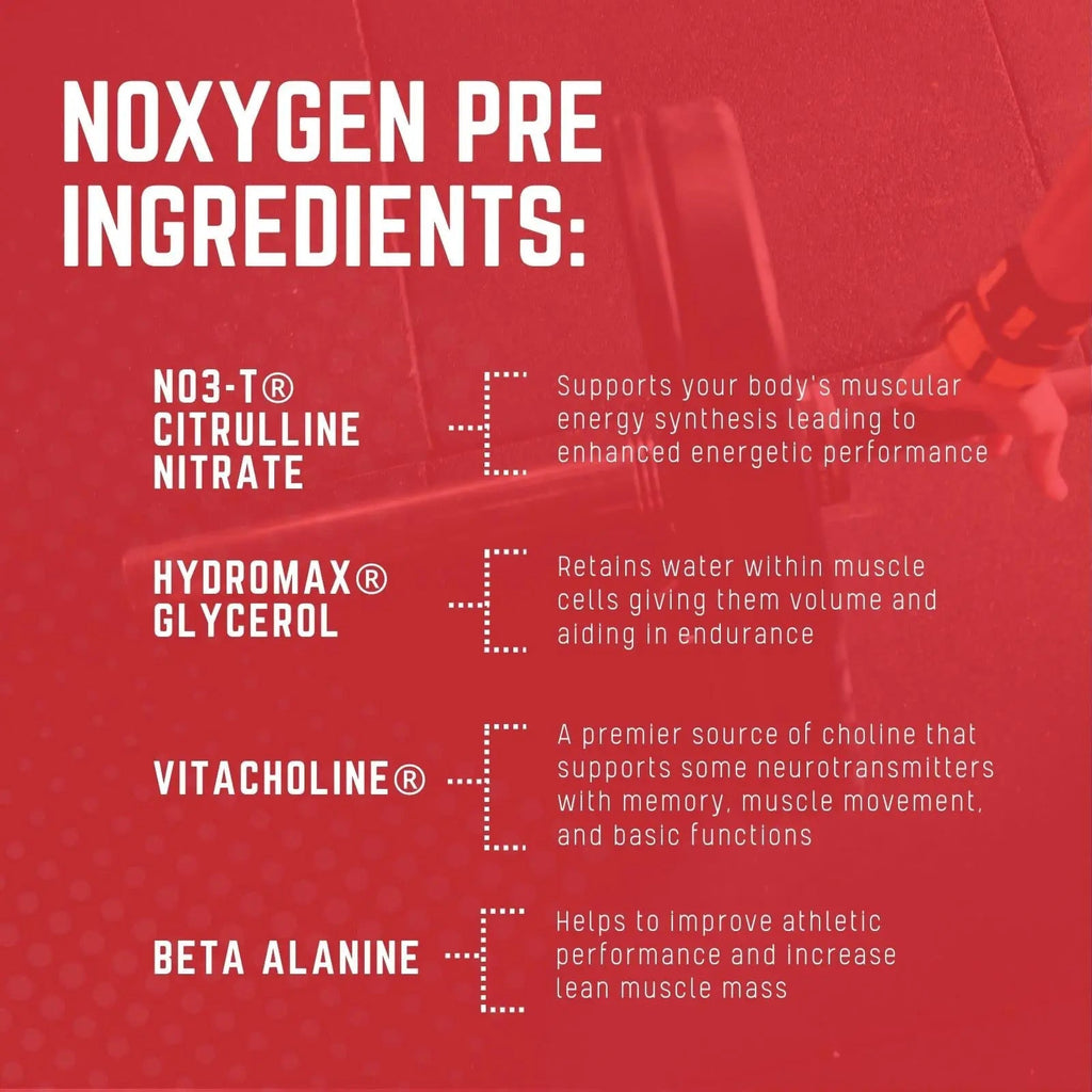 Purus Labs NOXYGEN PREWORKOUT Powder, 30 Servings (Gummy Bear) Purus Labs Au supplements