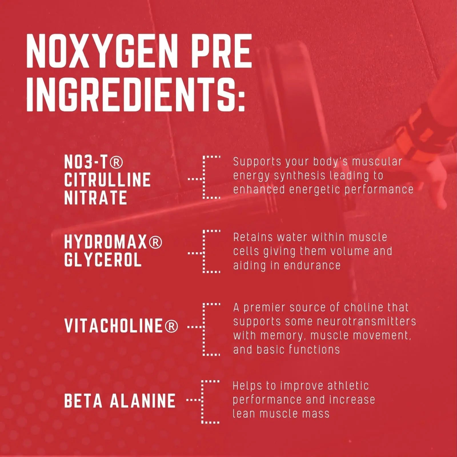 Purus Labs NOXYGEN PREWORKOUT Powder, 30 Servings (Strawberry Candy) Purus Labs Au supplements