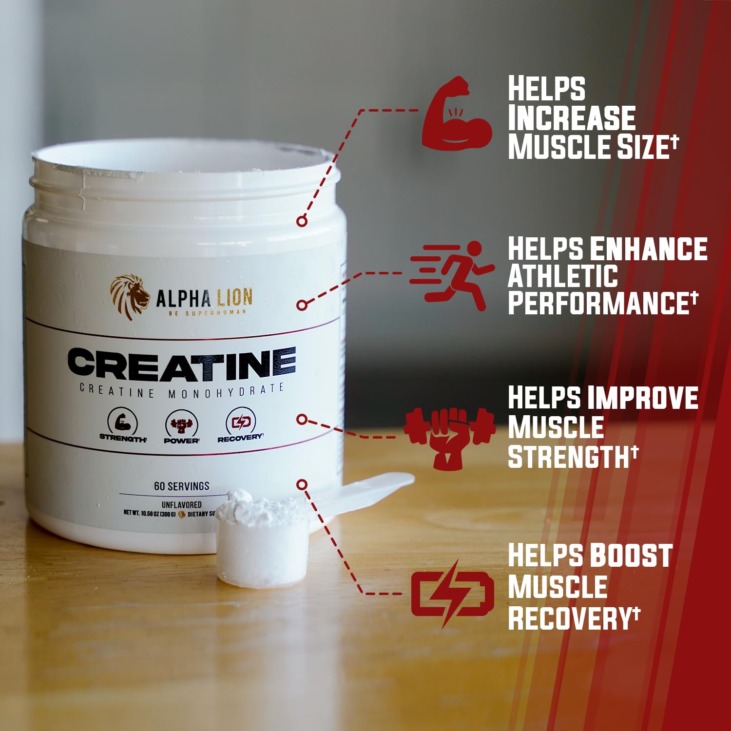 ALPHA LION Creatine Monohydrate Powder, 5000mg Per Serving (5g), Supports Muscle Strength, Power, Athletic Performance, Pure Creatina Monohydrata