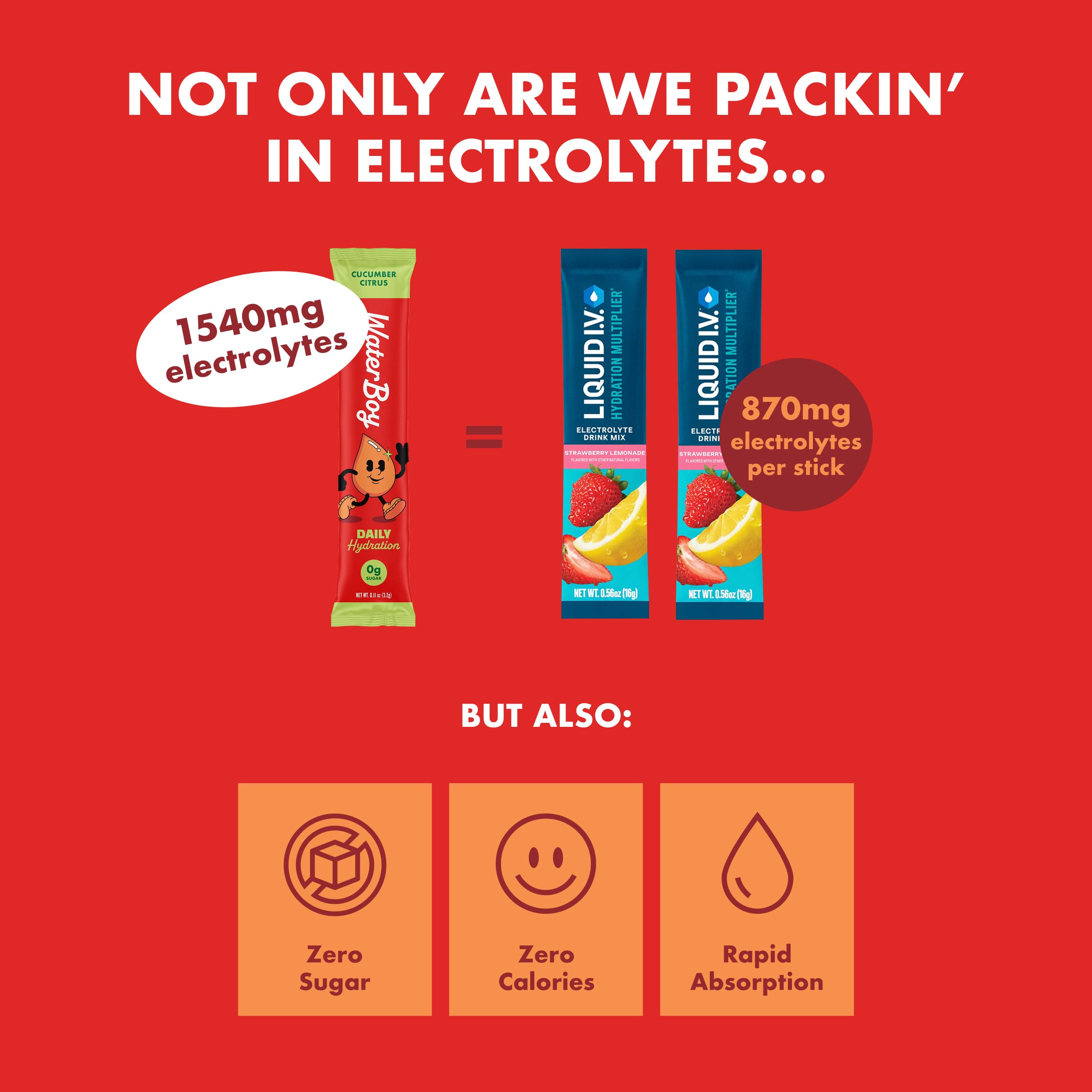 Waterboy Daily Hydration | 1,570mg Electrolyte Powder Packets | No Sugar, All Natural, Gluten Free, Zero Calories | 15 Drink Stick Mixes (Watermelon)