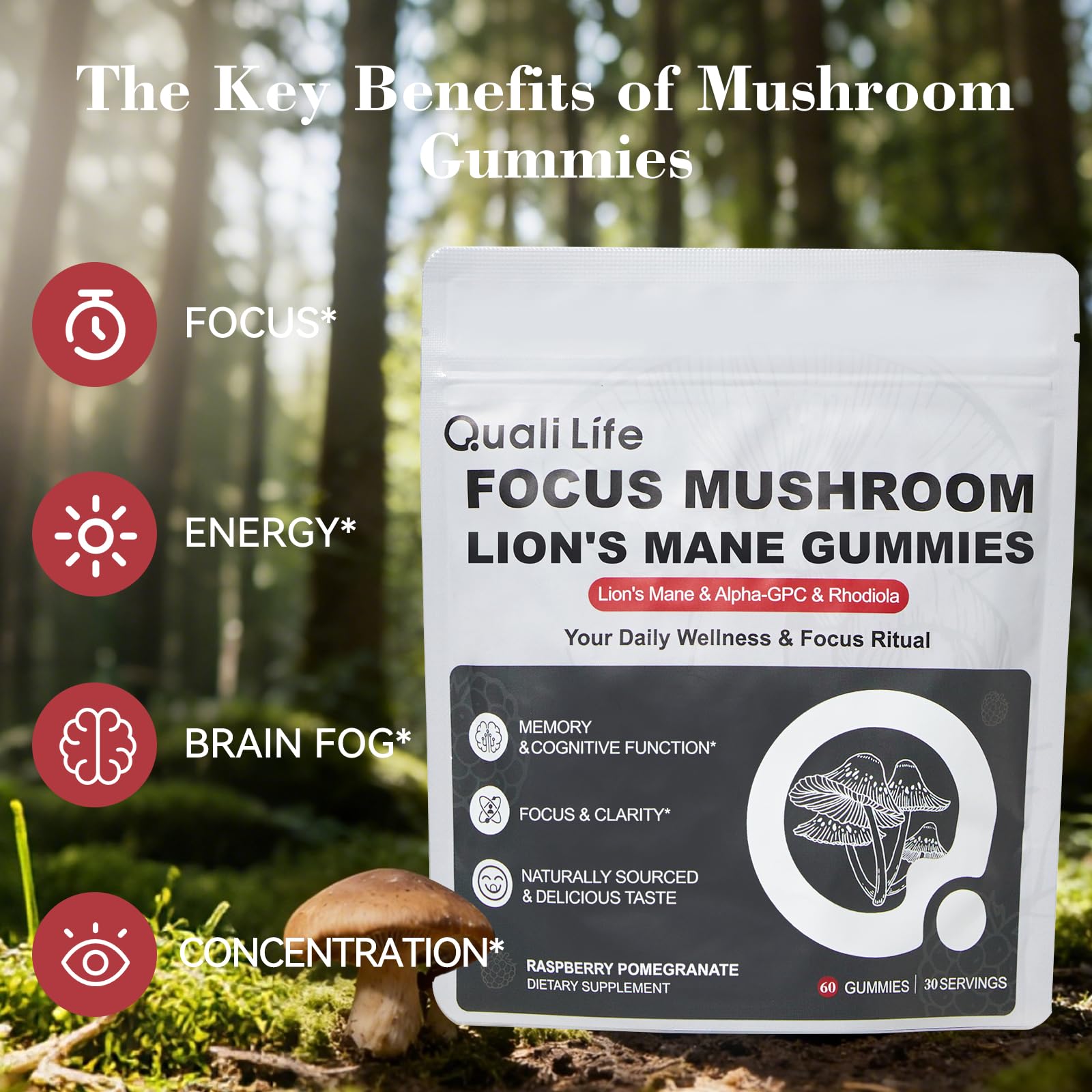 Mushroom Gummies with Lion’s Mane - Alpha Brain Gummy for Focus & Memory - Nootropic Focus Gummies with Rhodiola & Alpha-GPC – Vegan Brain Supplement, Raspberry Pomegranate Flavor, 60 Count (1) QualiLife Au supplements