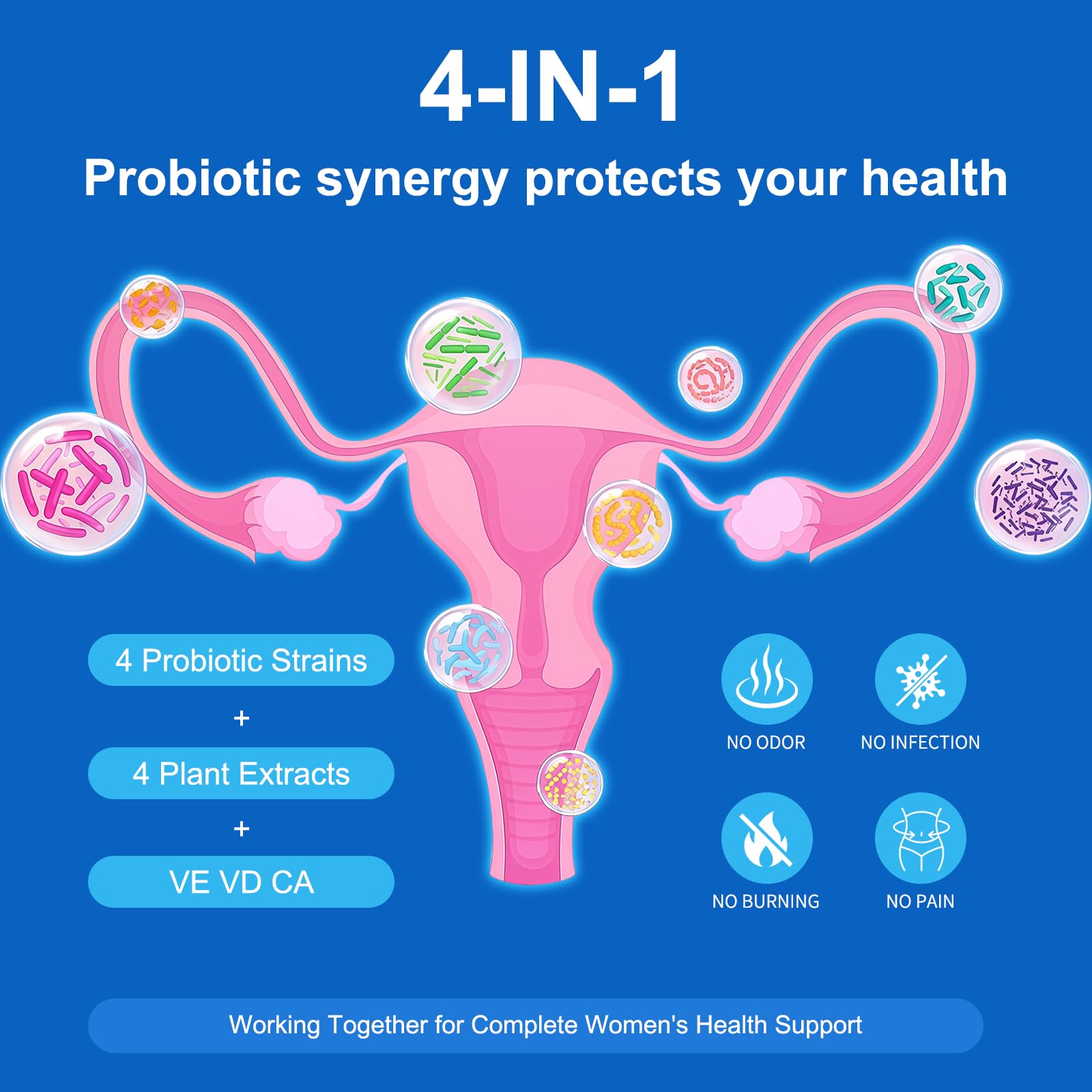 Natprime Menopause Supplements for Women - 60 Billion CFU Akkermansia Probiotic for Hormonal Balance, Night Sweats, Hot Flashes Relief, Gut Health, Mood Support & URO Viginal probiotic - 60 Ct 30 Day Natprime Au supplements