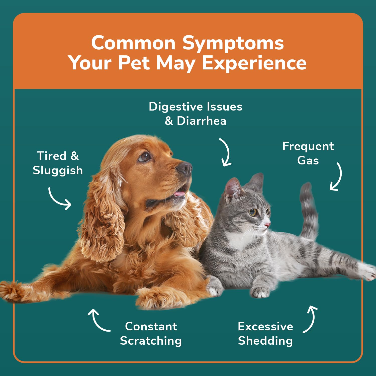 TotalVet Dog Allergy +1000 Food & Nutritional Sensitivity Test, Pet Intolerance Kit at Home — Advanced Complement to DNA Tests for Complete Pet Wellness TotalVet Au supplements