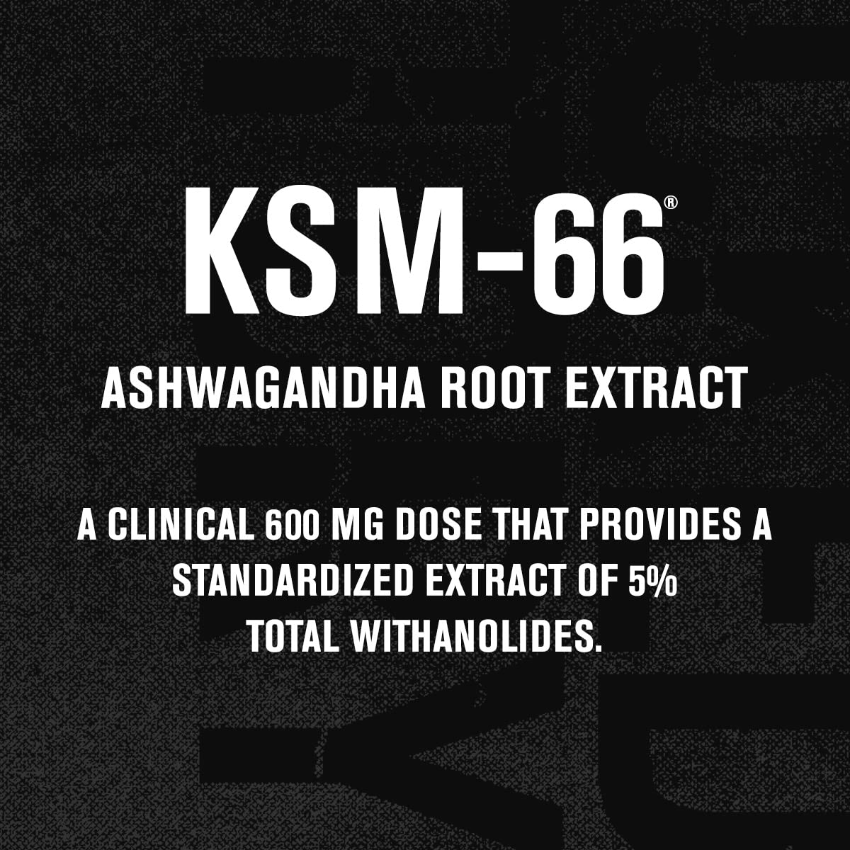 Jacked Factory Ashwagandha Root Extract (KSM-66 Ashwagandha) w/ 5% Withanolides - Supplement for Natural Stress Relief, Cognitive Function, Vitality, and Mood Support - 60 Veggie Capsules Jacked Factory Au supplements