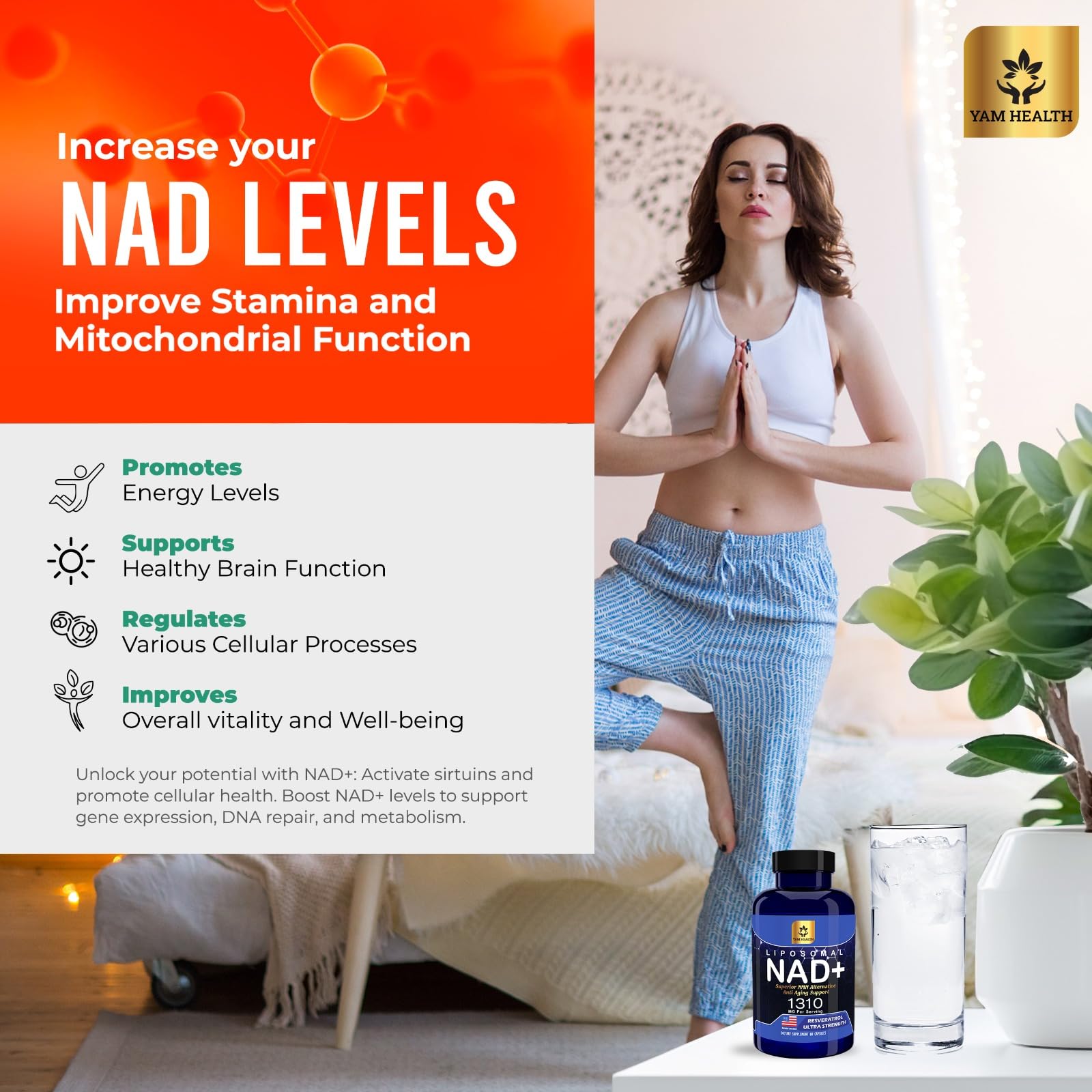 YAM Health Liposomal NAD Nicotinamide Riboside Equivalent with Trans-Resveratrol 300mg, Premium Halal NAD Supplement for Energy Metabolism, DNA Repair and Longevity, Vegan, Non-GMO (60 Count) YAM Health Au supplements
