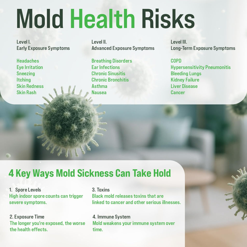 Microbial Mold Test Kit for Home - Indoor Air Quality and Surface Testing - Detects Black Mold, Mildew, and Fungi - Air and Surface Mold Detection Kit with Lab Analysis Included MICROBIAL MAINTENANCE Au supplements