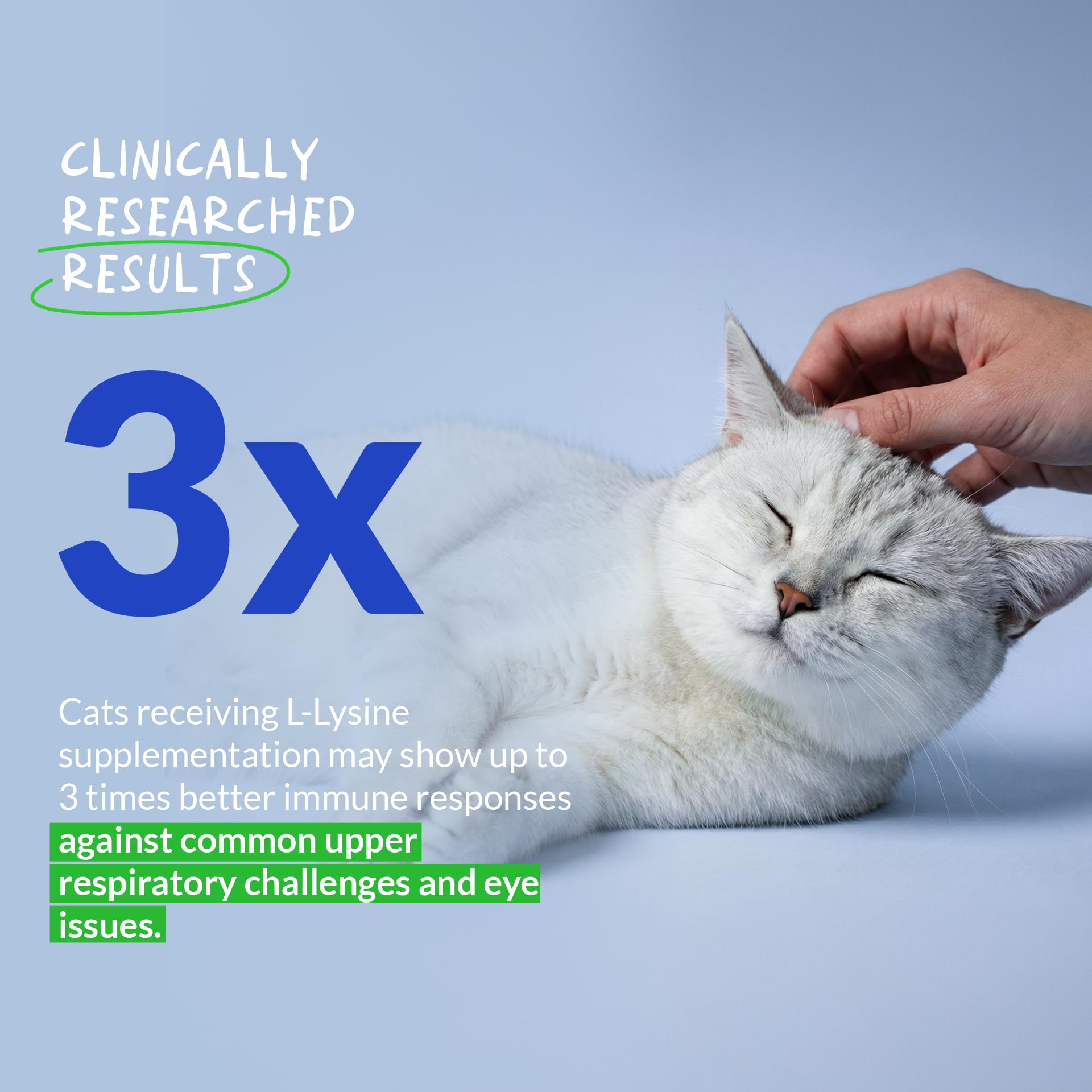 L-Lysine Supplement for Cats 900mg/scoop - Cat Supplement for Sneezing and Runny Nose, Cold, Immune Support, Eye Function