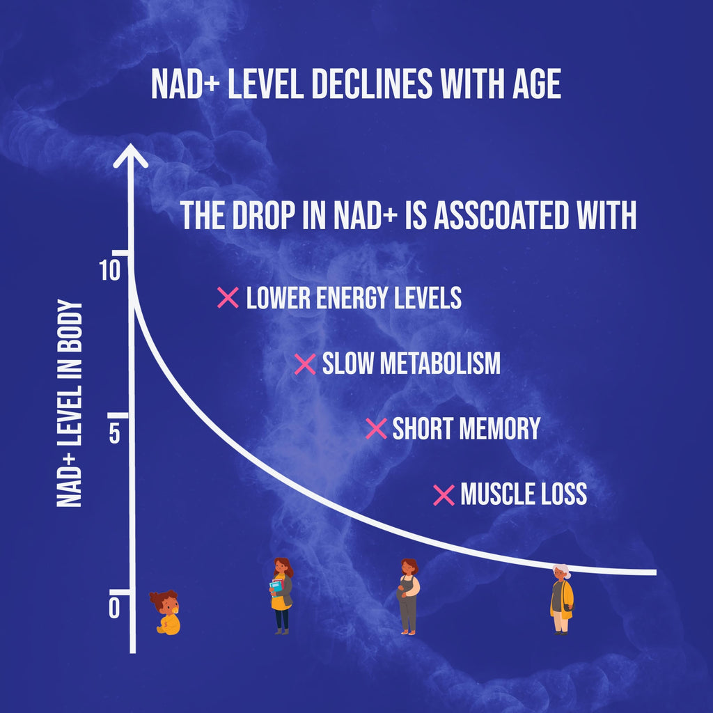 UpNourish NMN 500mg 120 Capsules - Beta Nicotinamide Mononucleotide NAD Supplement - Nicotinamide Riboside Alternative for Women & Men UpNourish Au supplements
