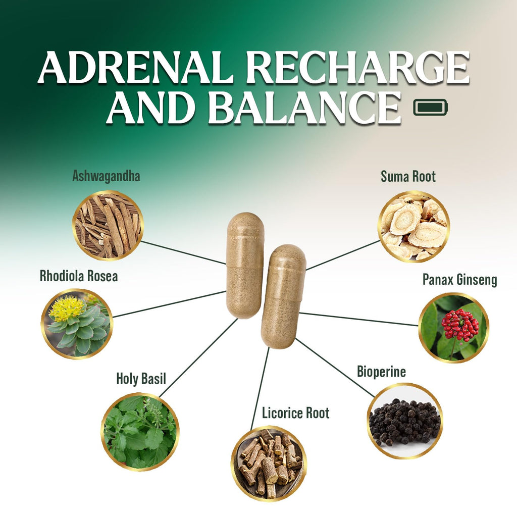 Nature's Nutrition Adrenal Support Supplements Cortex Complex, Best Energy Supplement, Supports Health & Energy Levels, Daily Ashwagandha for Women & Men, Supports Immune System, 120 Capsules Nature's Nutrition Au supplements
