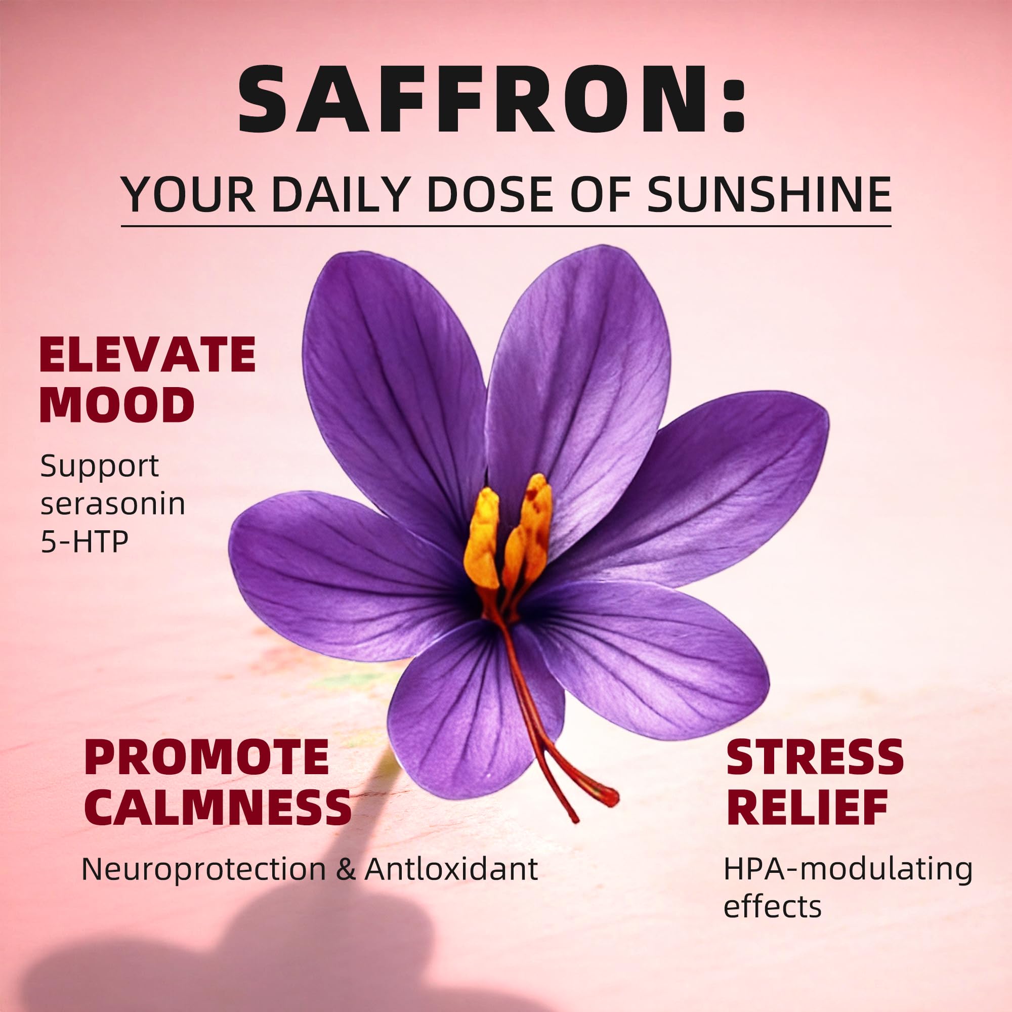 GREENPEOPLE Saffron Extract Supplements Drop - 24-in-1 88.5mg Saffron Extract with Ashwagandha,Black Cohosh & Lion's Mane for Mood&Focus,Stress Relief,Cortisol Reducer,Menopause – Vegan 2FL OZ GREENPEOPLE Au supplements