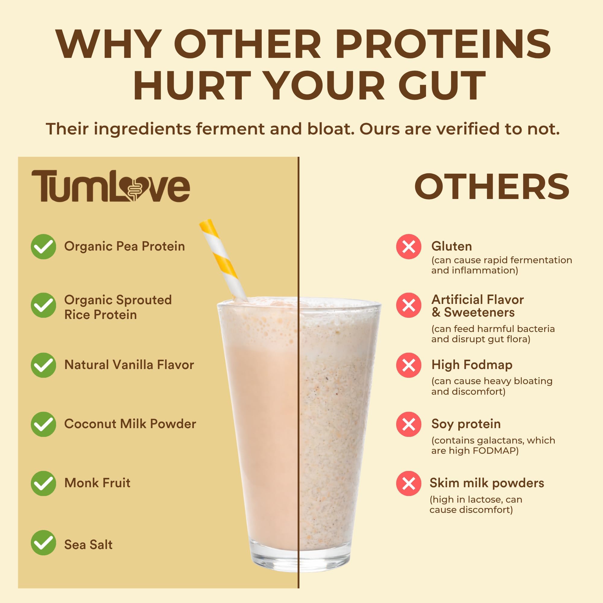 TumLove Vegan Protein Powder - Low FODMAP Certified, Gluten-Free, Dairy-Free, Soy-Free, 100% Gut-Friendly & Non-Bloating, Vanilla (25 Servings)