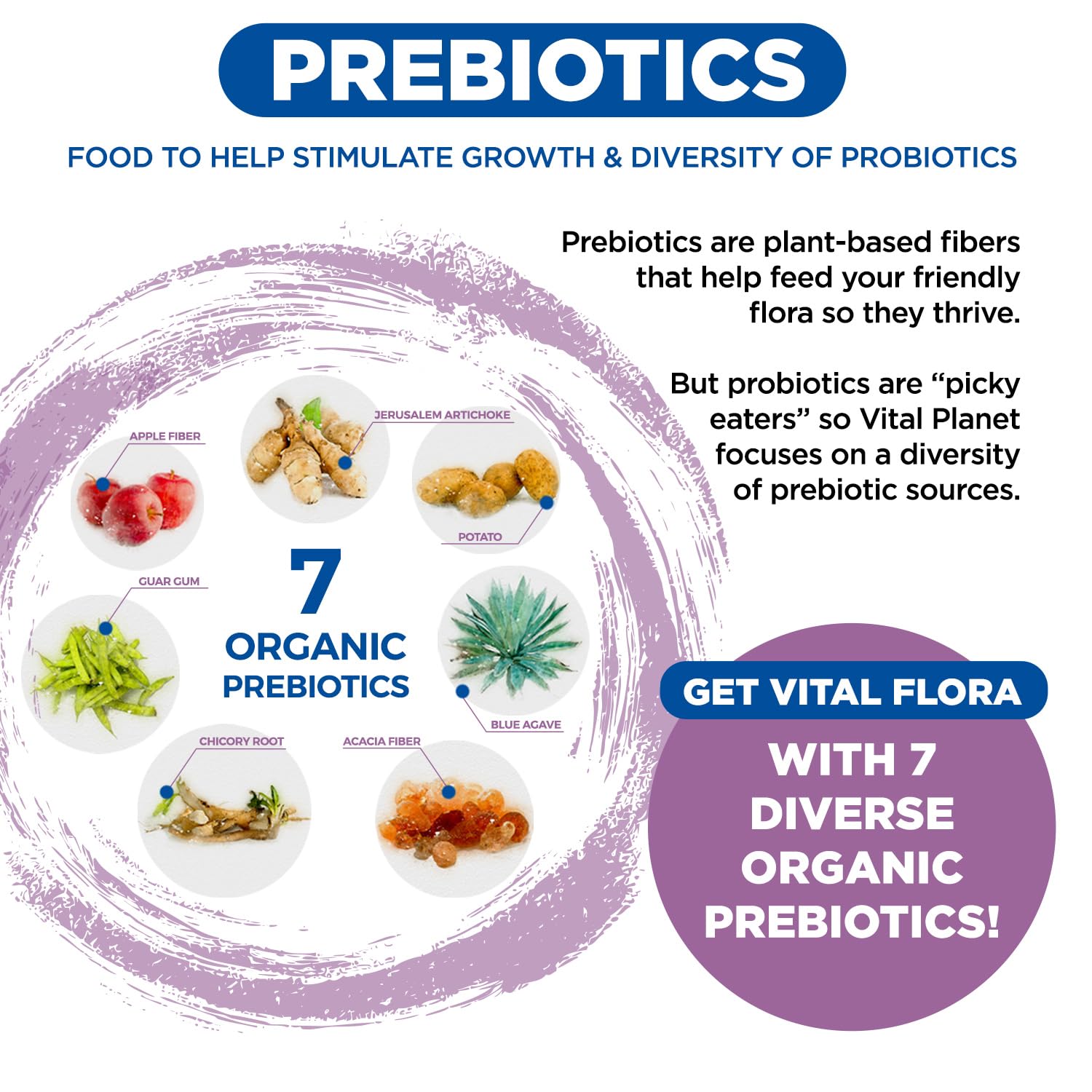 Vital Planet - Vital Flora Women’s Daily Probiotic 60 Billion CFU, 60 Diverse Strains, 7 Organic Prebiotics, Vaginal and Immune Support, Bloating, Digestive Health Probiotics for Women 30 Capsules Vital Planet Au supplements