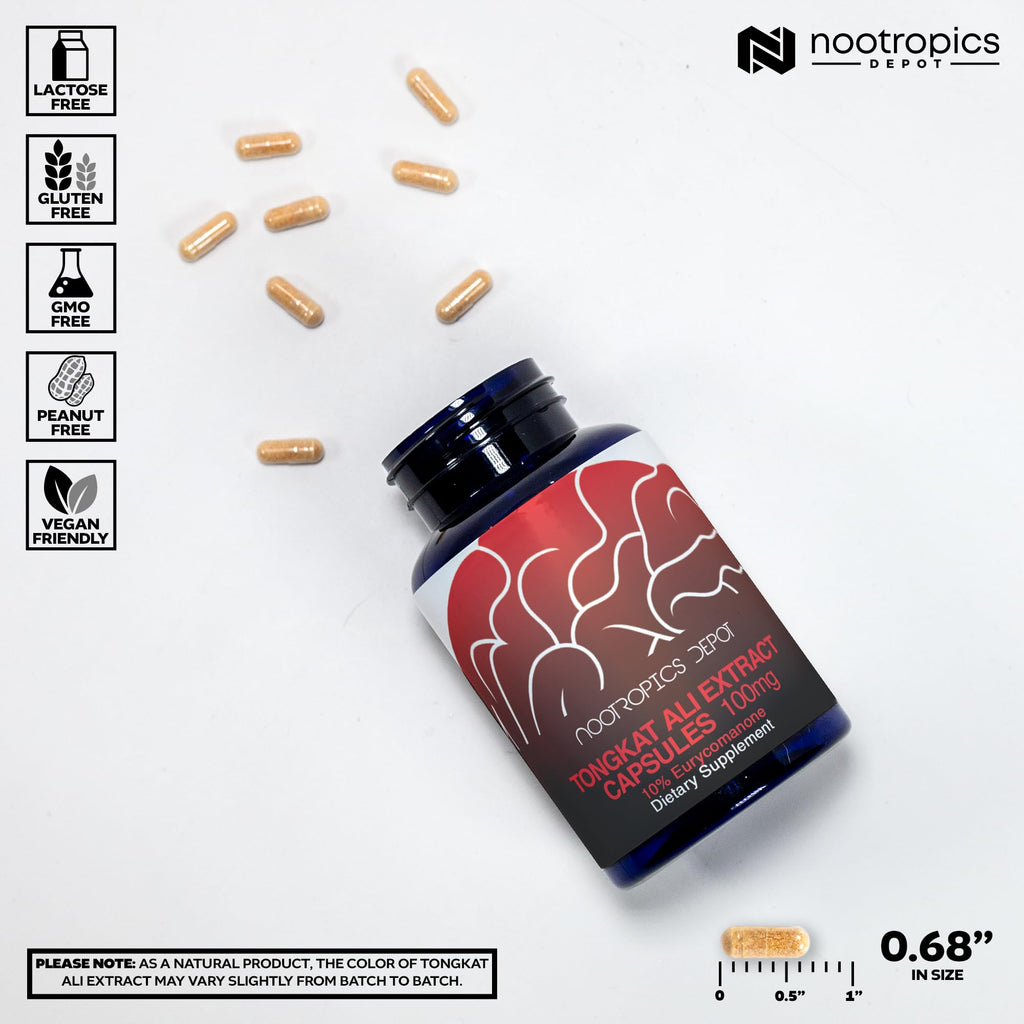Depot Tongkat Ali Extract Capsules | 100mg | 60 Count | 10% Eurycomanone by HPTLC | Eurycoma longifolia Root Extract