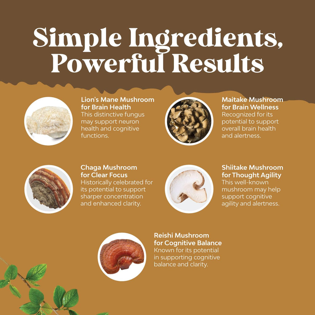 Advanced Lion's Mane Mushroom Supplement - Lions Mane Supplement Capsules with Reishi Chaga Maitake & Shiitake for Brain Health Memory Support & Focus - Nootropic for Mental Clarity - 120 Count Natures Craft Au supplements