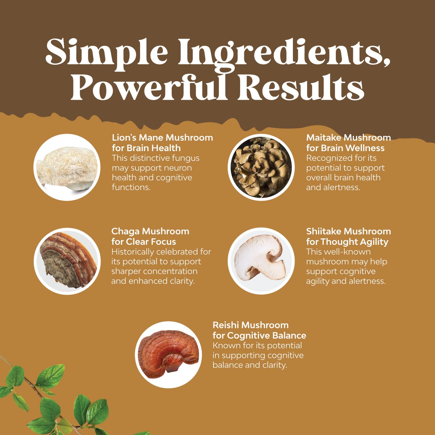 Advanced Lion's Mane Mushroom Supplement - Lions Mane Supplement Capsules with Reishi Chaga Maitake & Shiitake for Brain Health Memory Support & Focus - Nootropic for Mental Clarity - 120 Count Natures Craft Au supplements