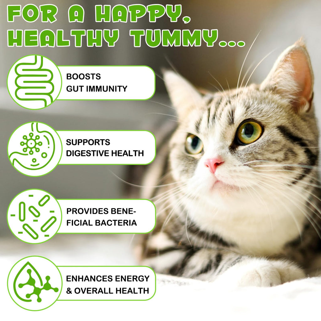 Liquid Cat Probiotic, Natural 3 in 1 Probiotic for Cats, Cat Digestive Support,Gut Health Support,Help with Diarrhea,Gas and Bloating, Cat Herbal Supplements- 60ml VOSIFSDIY Au supplements