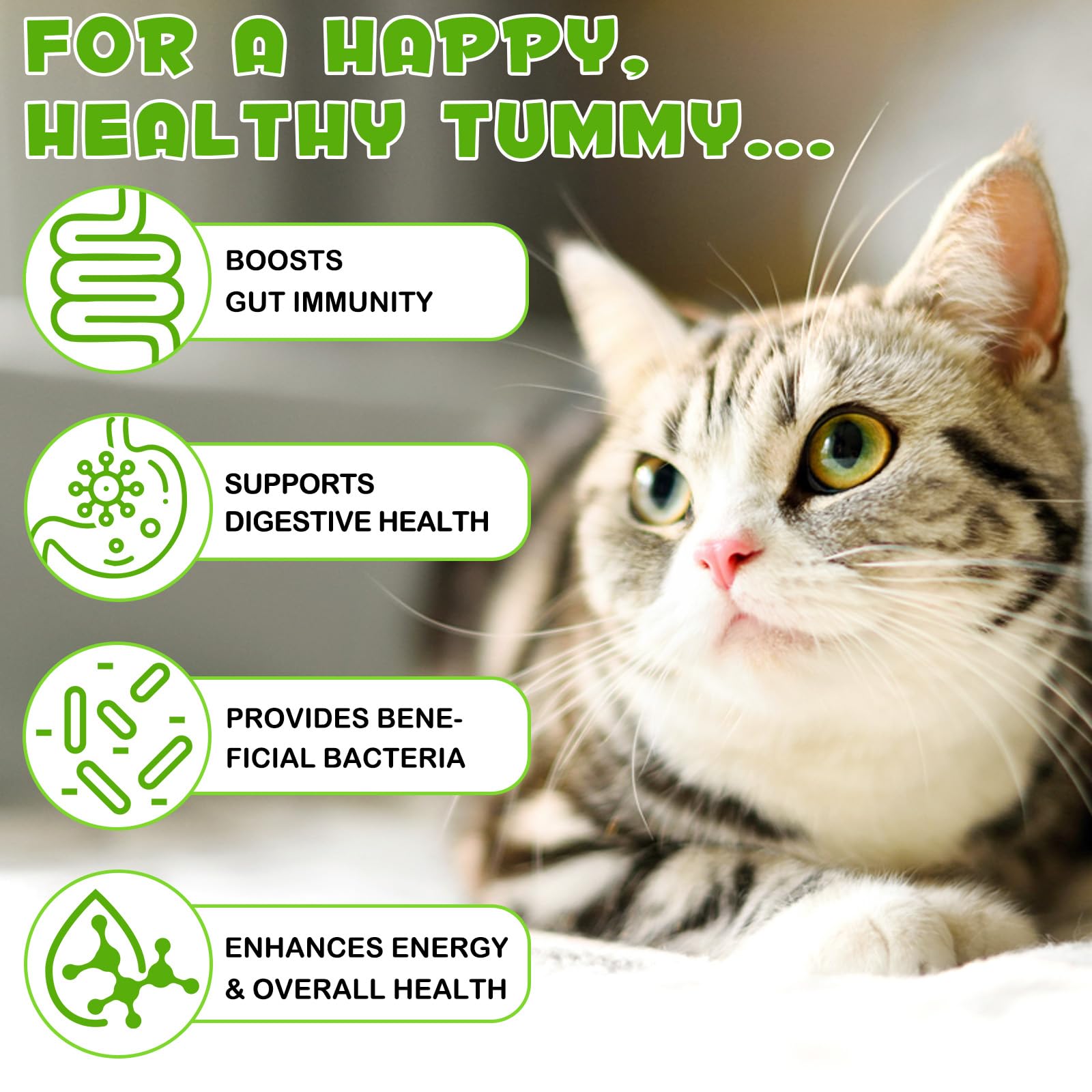 Liquid Cat Probiotic, Natural 3 in 1 Probiotic for Cats, Cat Digestive Support,Gut Health Support,Help with Diarrhea,Gas and Bloating, Cat Herbal Supplements- 60ml VOSIFSDIY Au supplements
