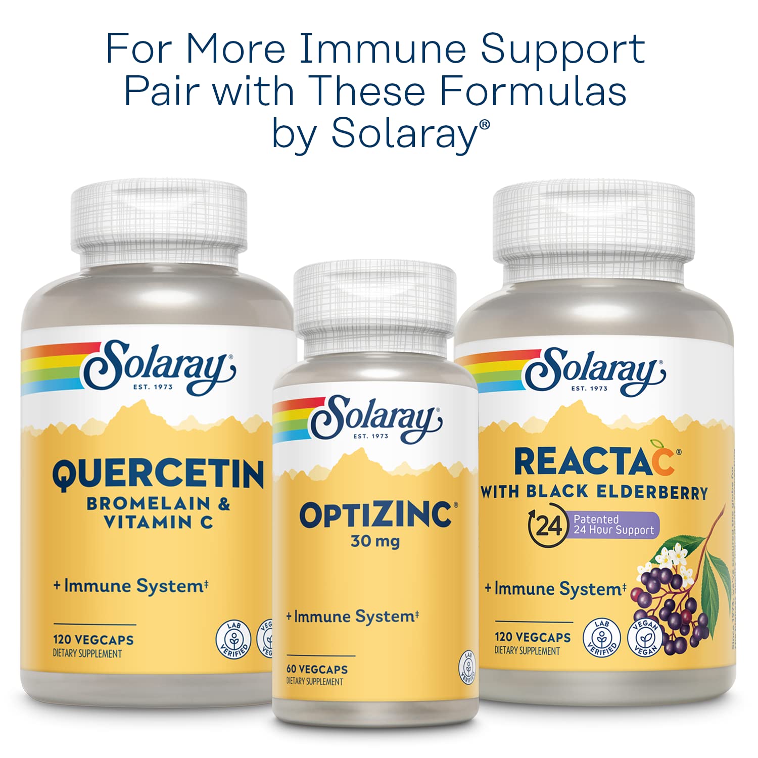 SOLARAY L-Lysine Monolaurin Immune Support Supplement, 1:1 Ratio for Immune System Function, 500 mg Each, 60-Day Money Back Guarantee
