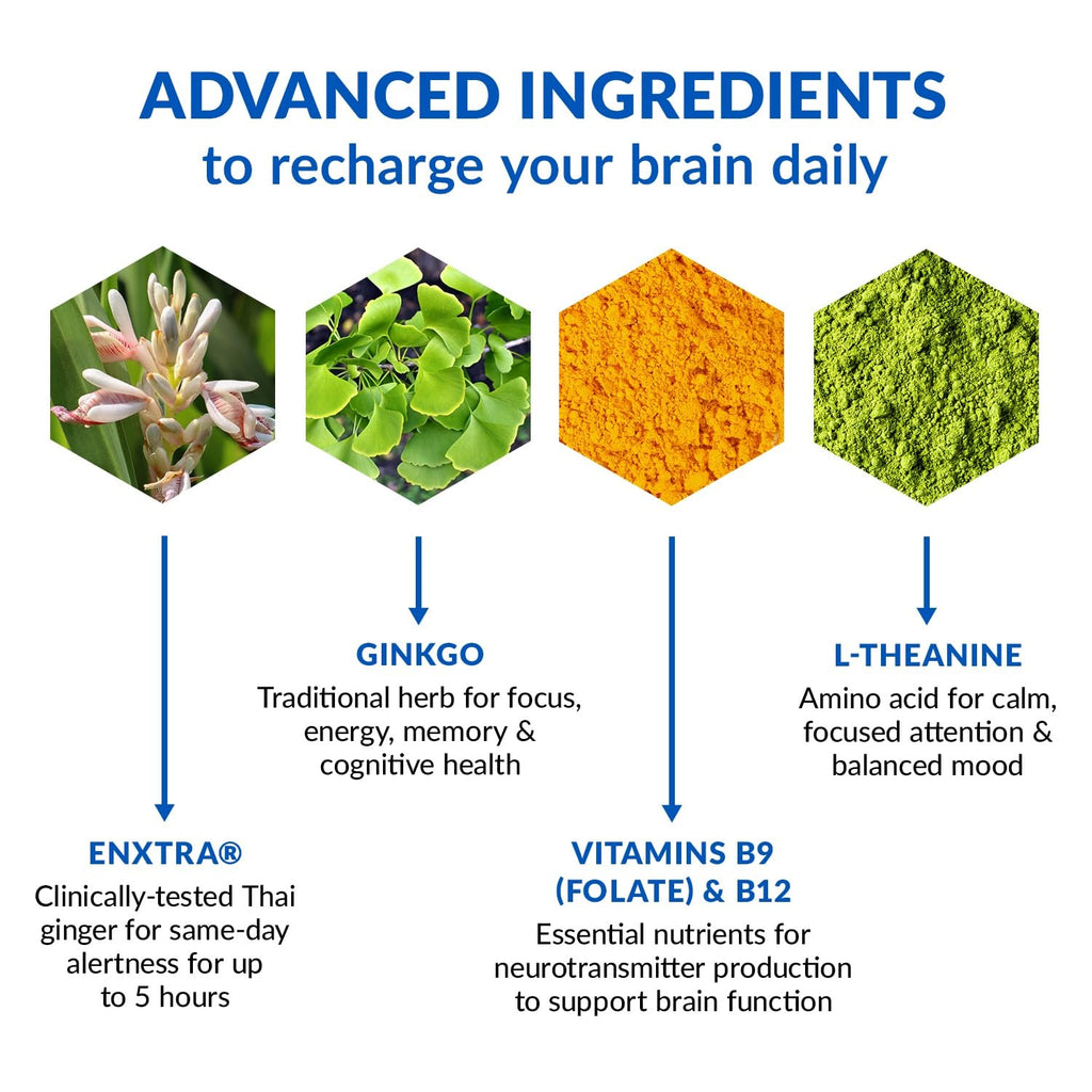 BioTrust Brain Bright – Daily Nootropic Boost for Focus, Concentration, Mental Clarity – Caffeine Free Nootropics Brain Support Supplement – Thai Ginger, Ginkgo, Folate, L-Theanine – 30 Servings BioTrust Au supplements