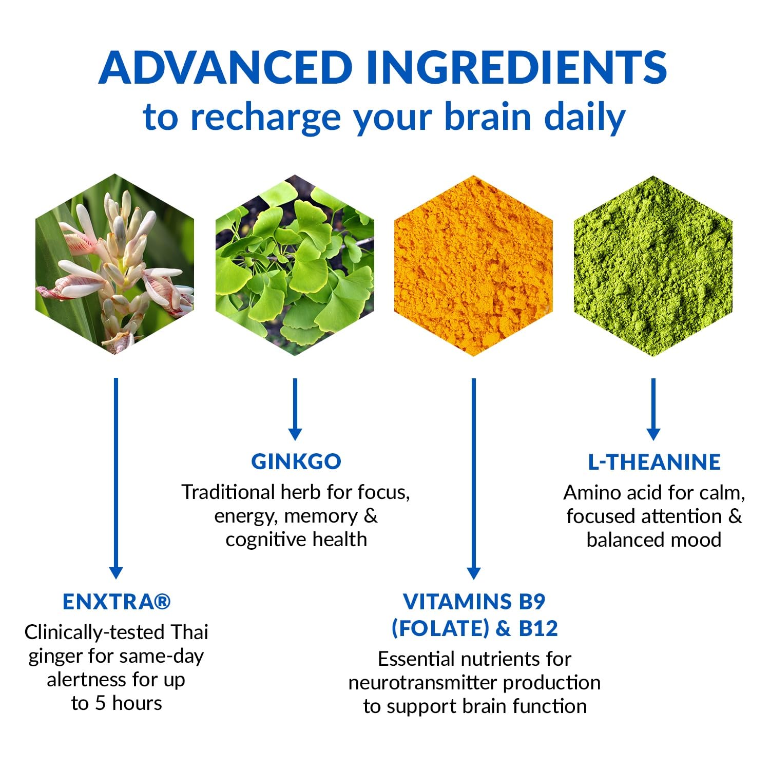 BioTrust Brain Bright – Daily Nootropic Boost for Focus, Concentration, Mental Clarity – Caffeine Free Nootropics Brain Support Supplement – Thai Ginger, Ginkgo, Folate, L-Theanine – 30 Servings BioTrust Au supplements
