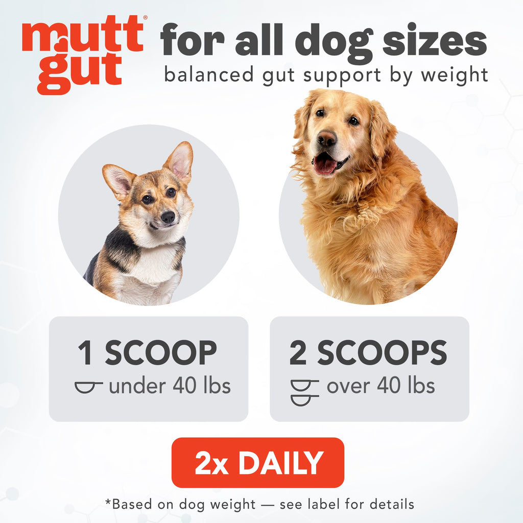 All-Natural 3-in-1 Dog Probiotic, Prebiotic, and Postbiotic Supplement Powder - Probiotics for Dogs with 135 Billion CFUs, Anti Diarrhea, Digestive Enzymes & Antioxidants (60g) MUTTGUT Au supplements